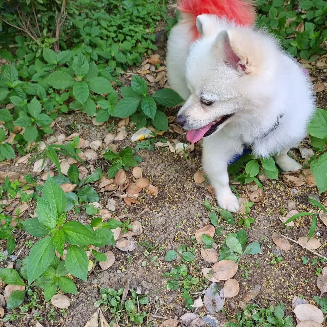 lechiot48 프로필 이미지