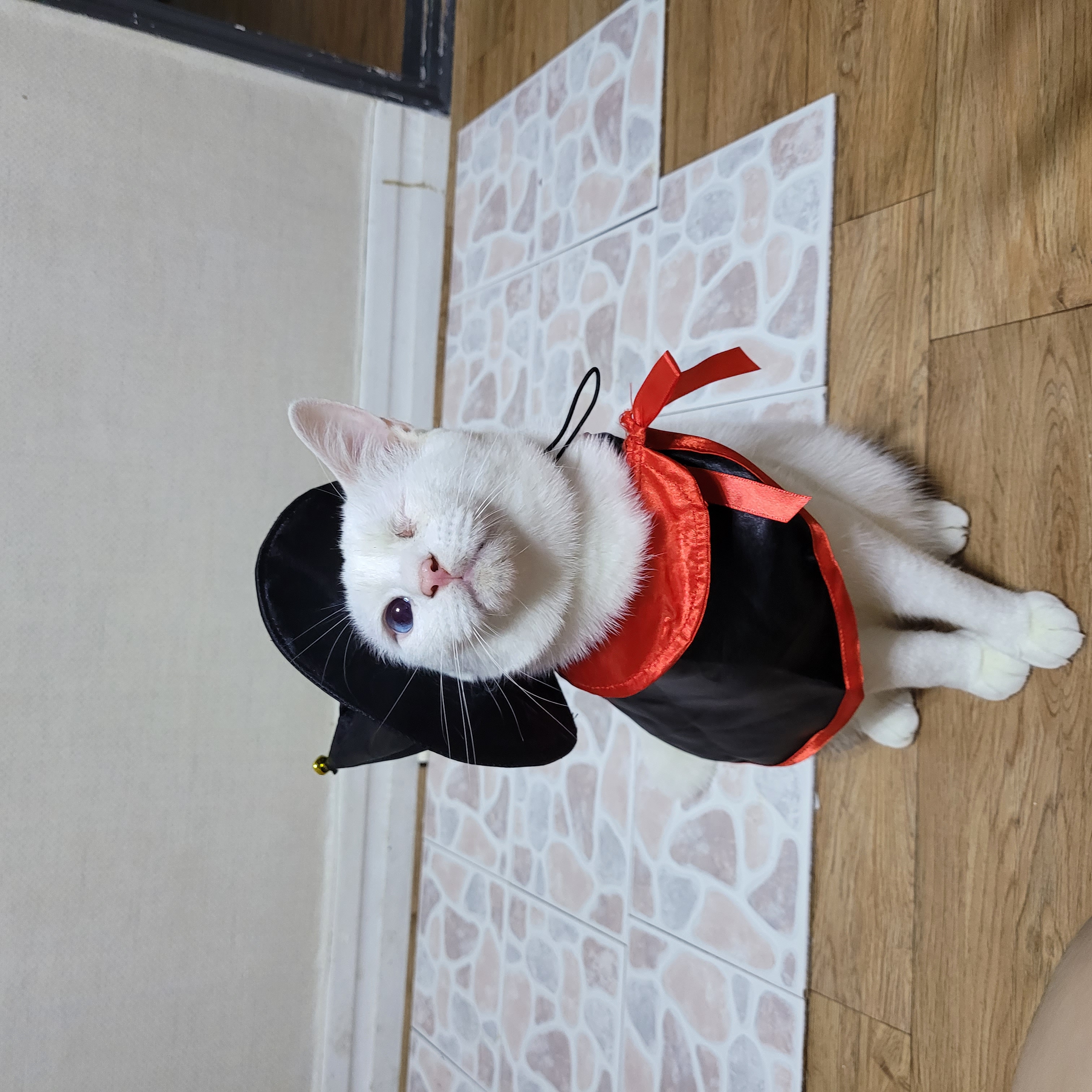 이토끼 프로필 이미지