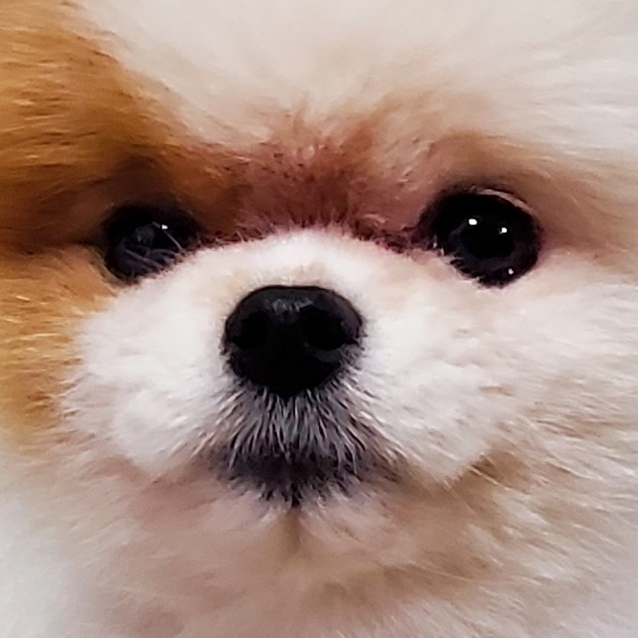 znzl 프로필 이미지