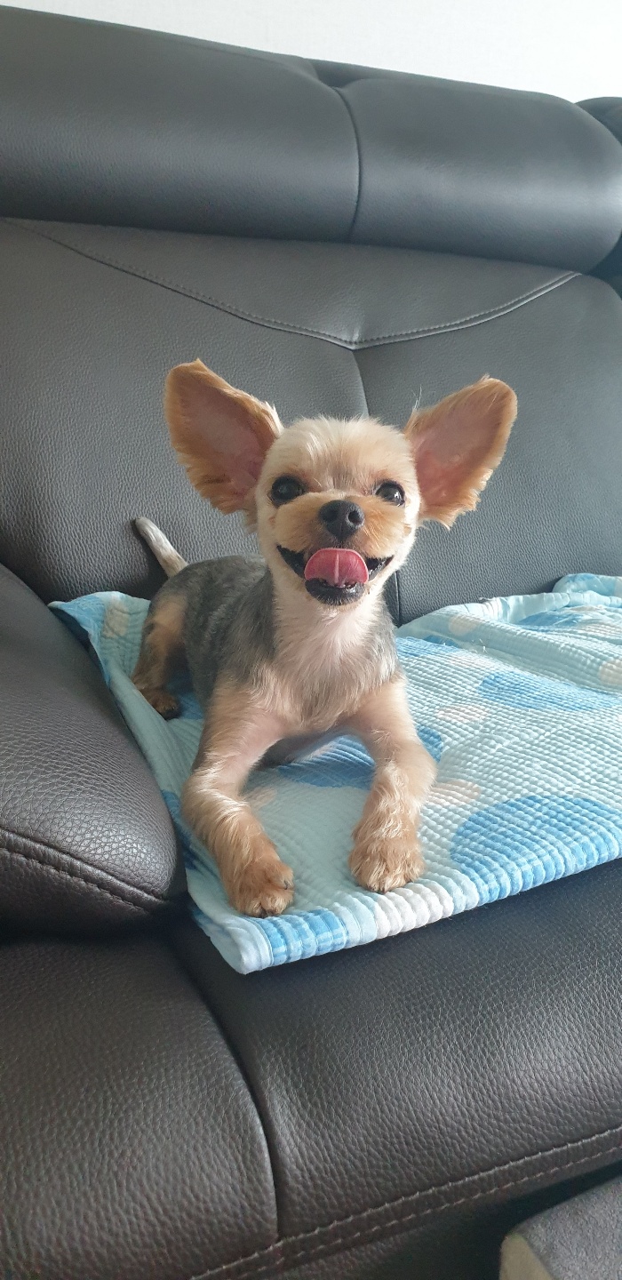 몽이맘 프로필 이미지