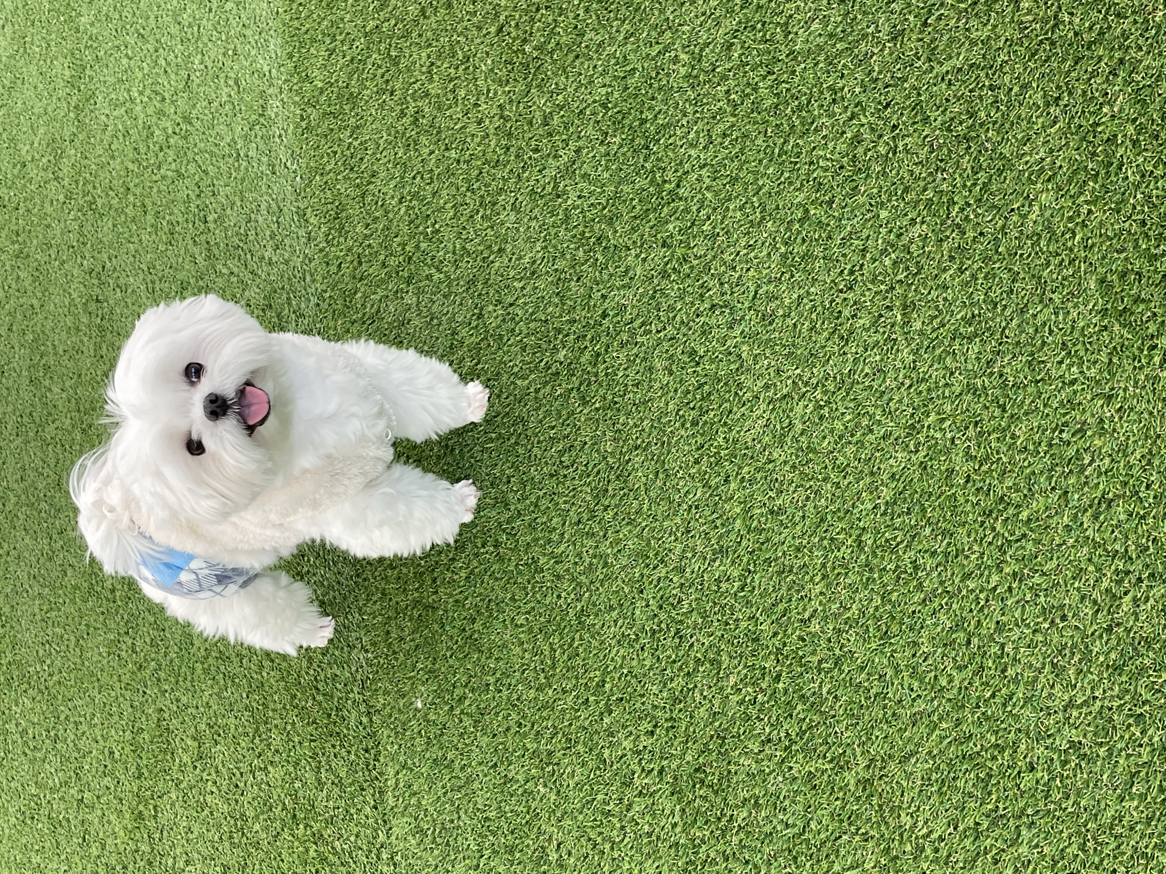 angkko 프로필 이미지