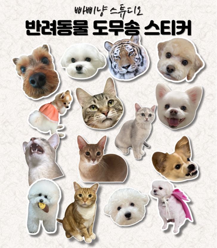 첨부 이미지