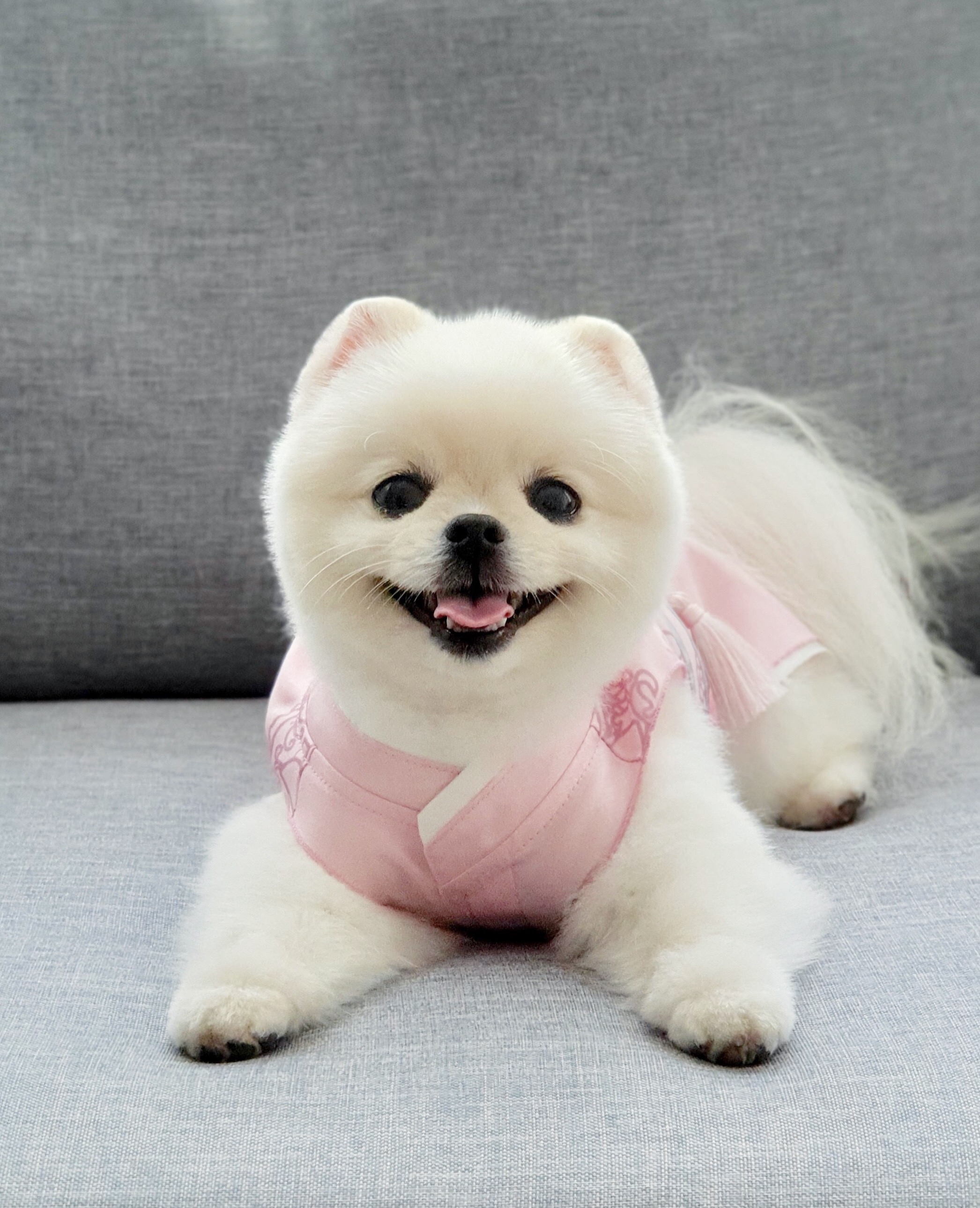 79레오 프로필 이미지