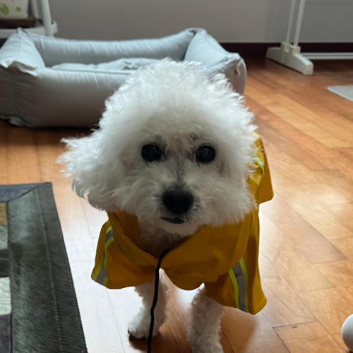 권닉네임 프로필 이미지