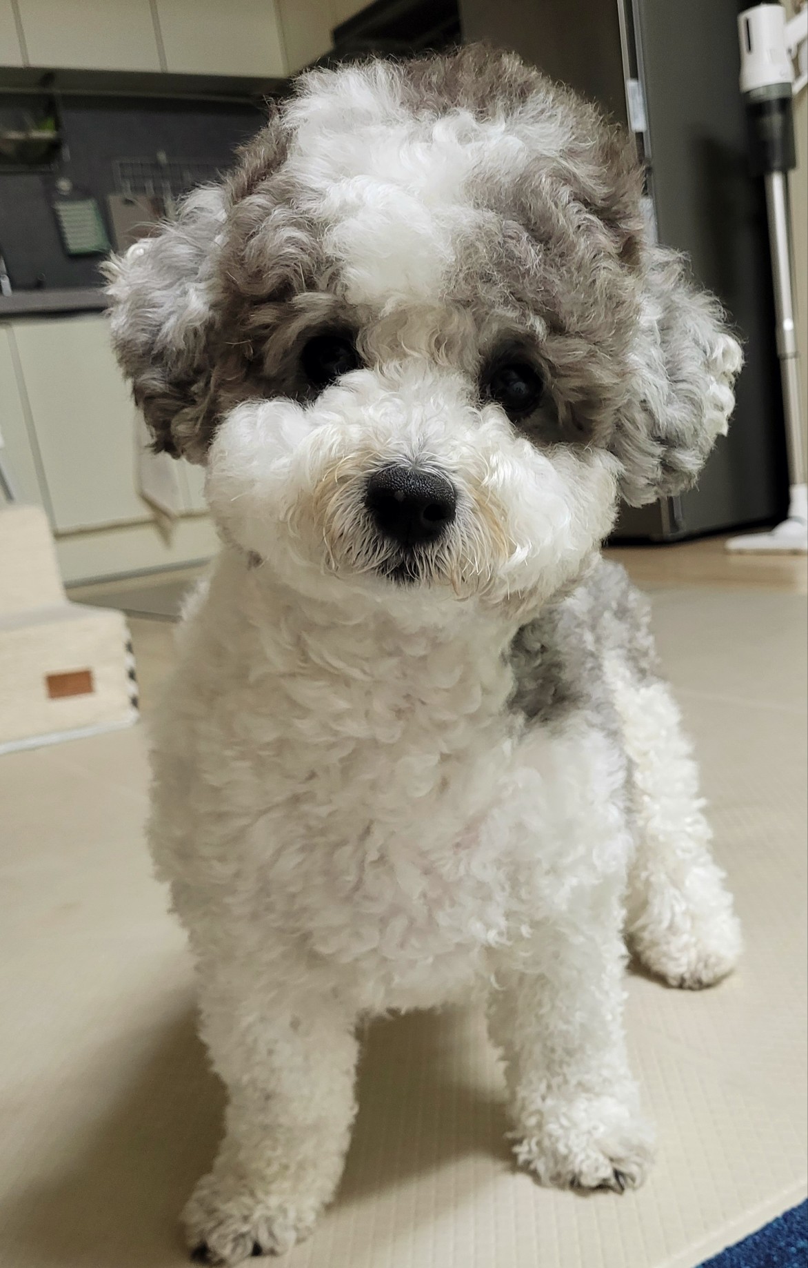 Zzangazzy 프로필 이미지