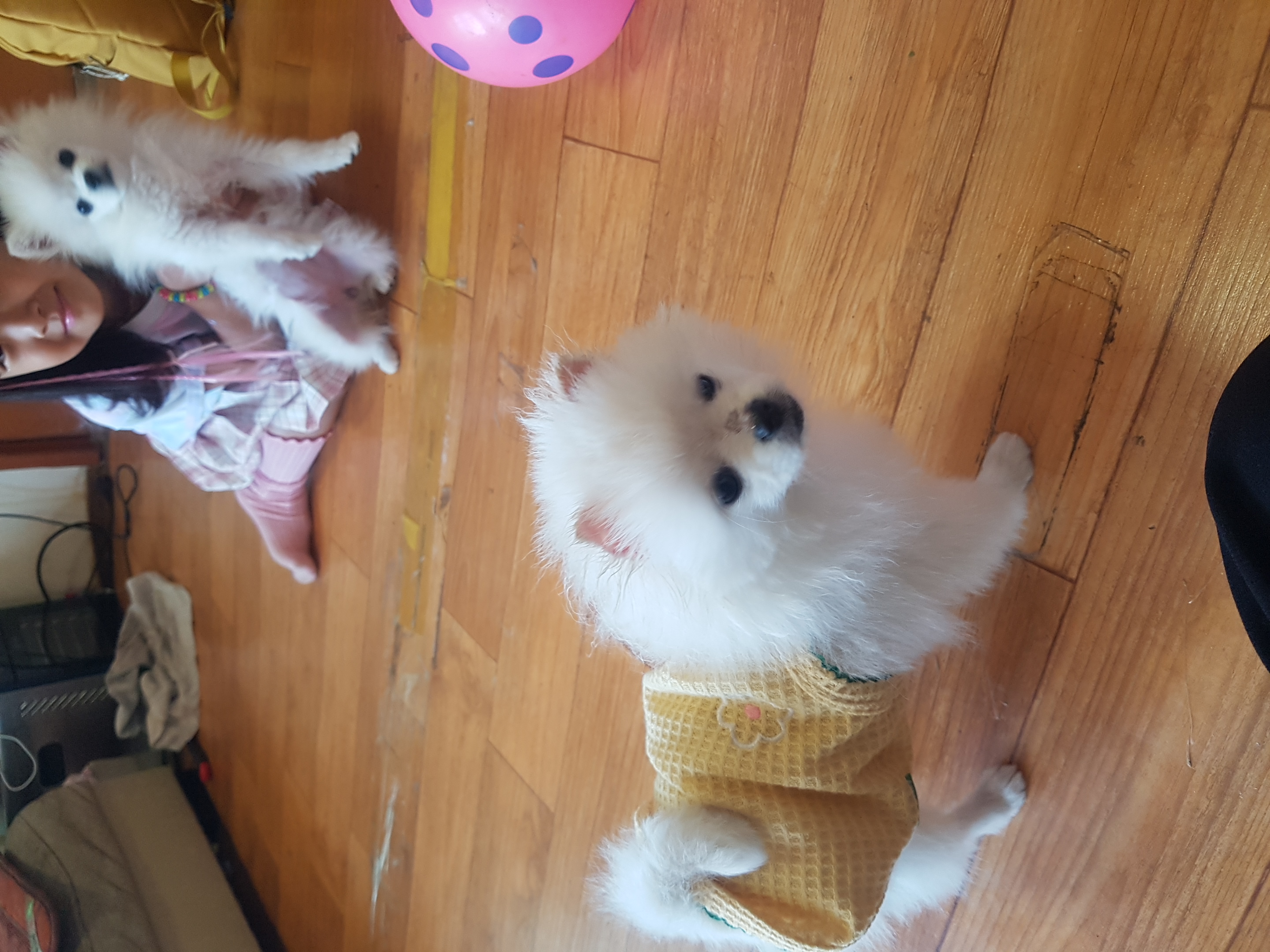 첨부 이미지