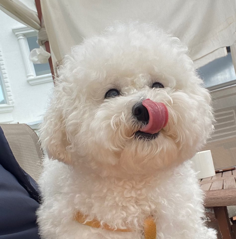 김두콩 프로필 이미지