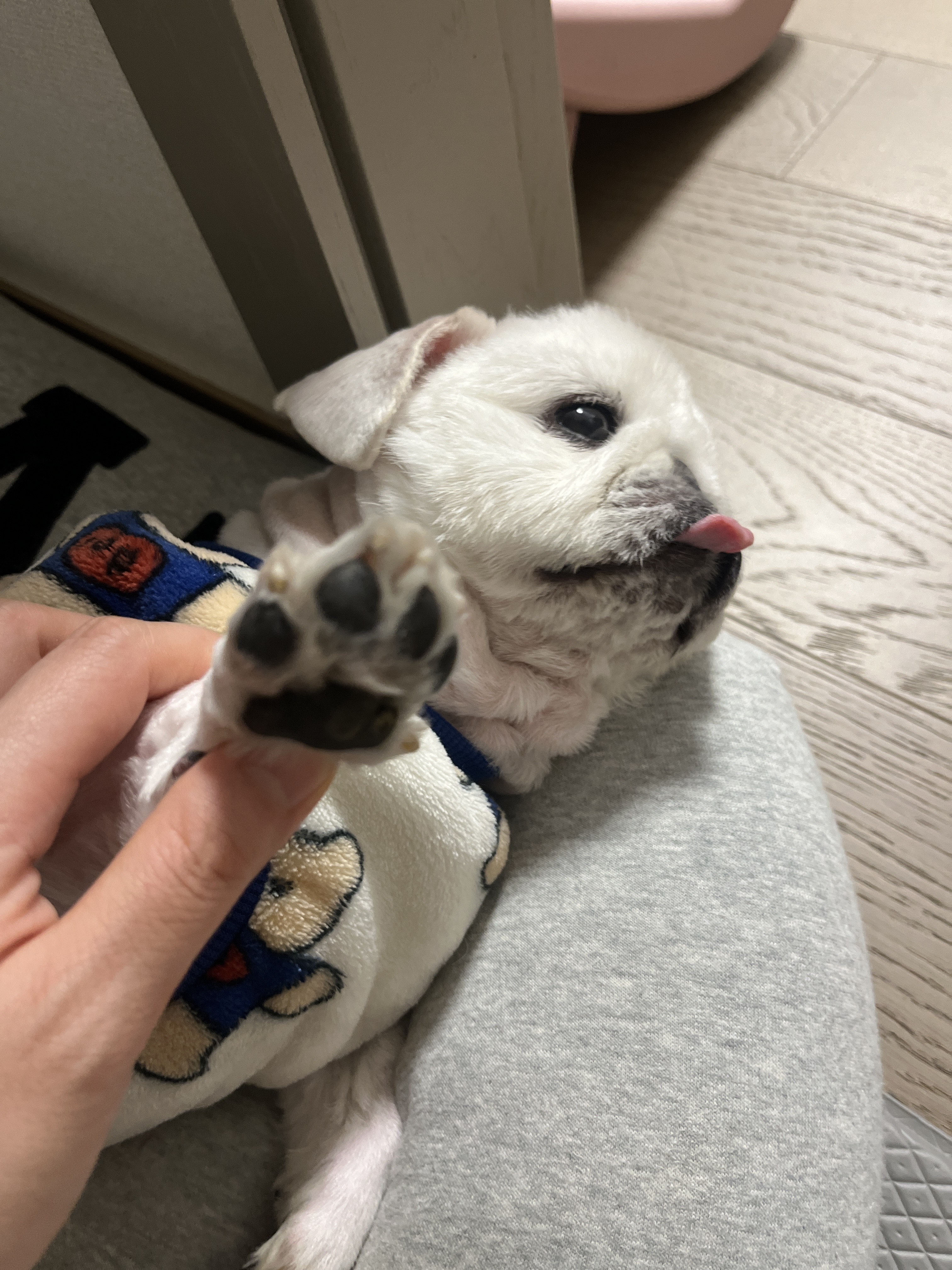 첨부 이미지