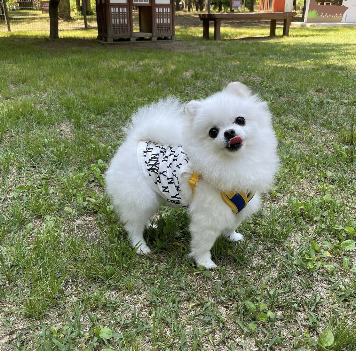 리치1008 프로필 이미지
