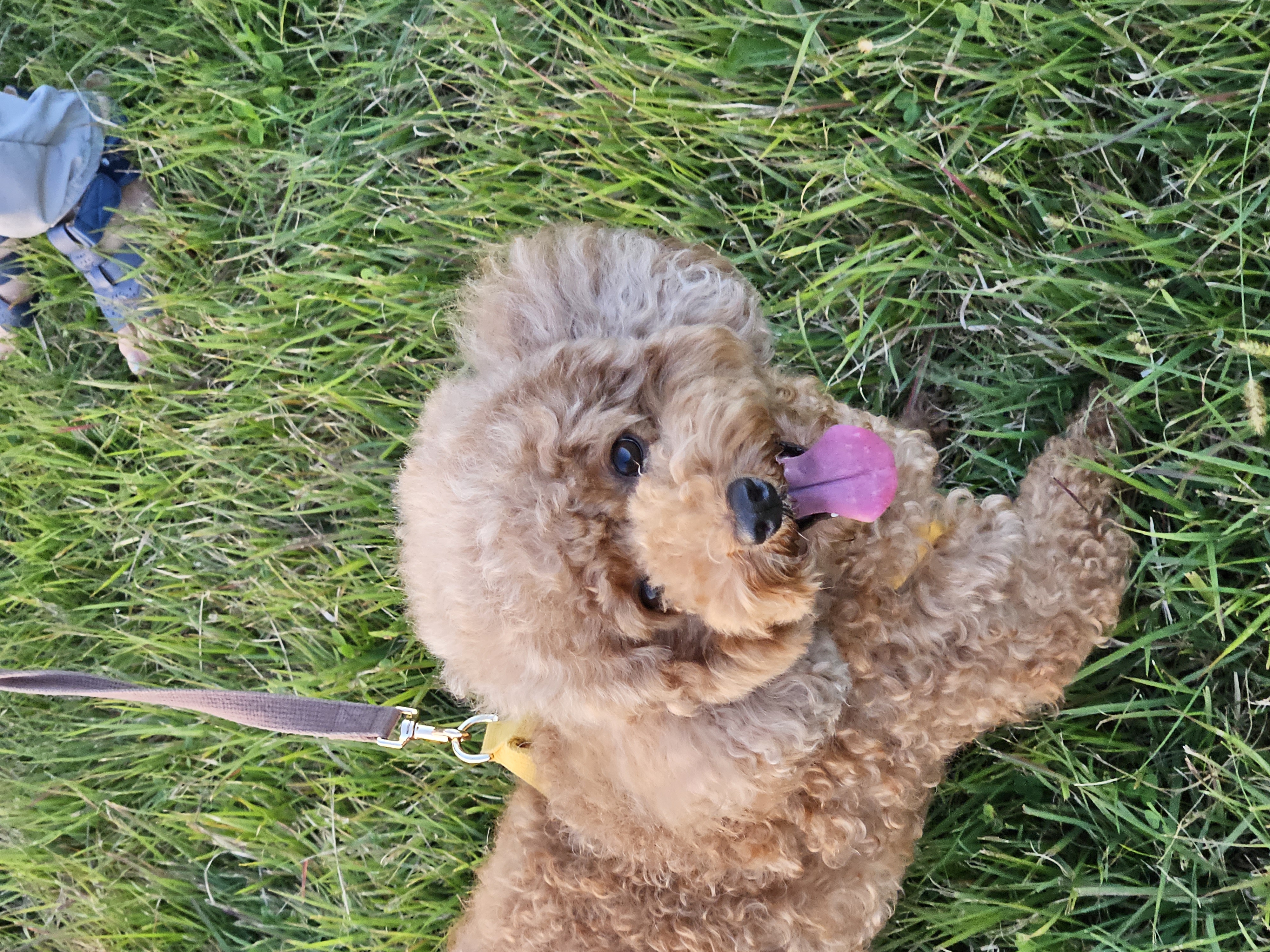 안알콩 프로필 이미지