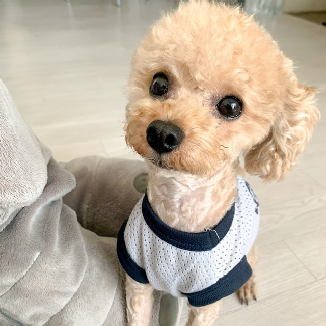 호두쨩 프로필 이미지