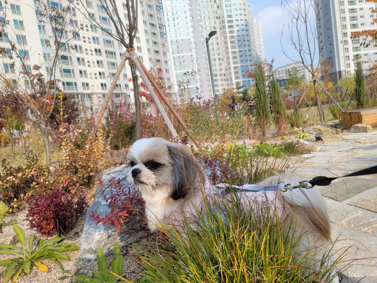 만듀애미 프로필 이미지