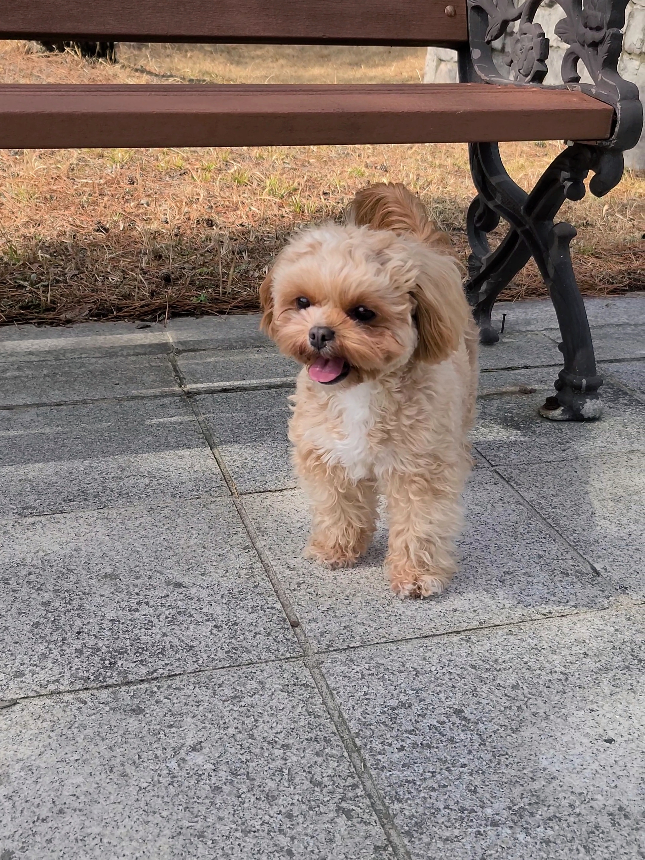 감쟈엄마 프로필 이미지