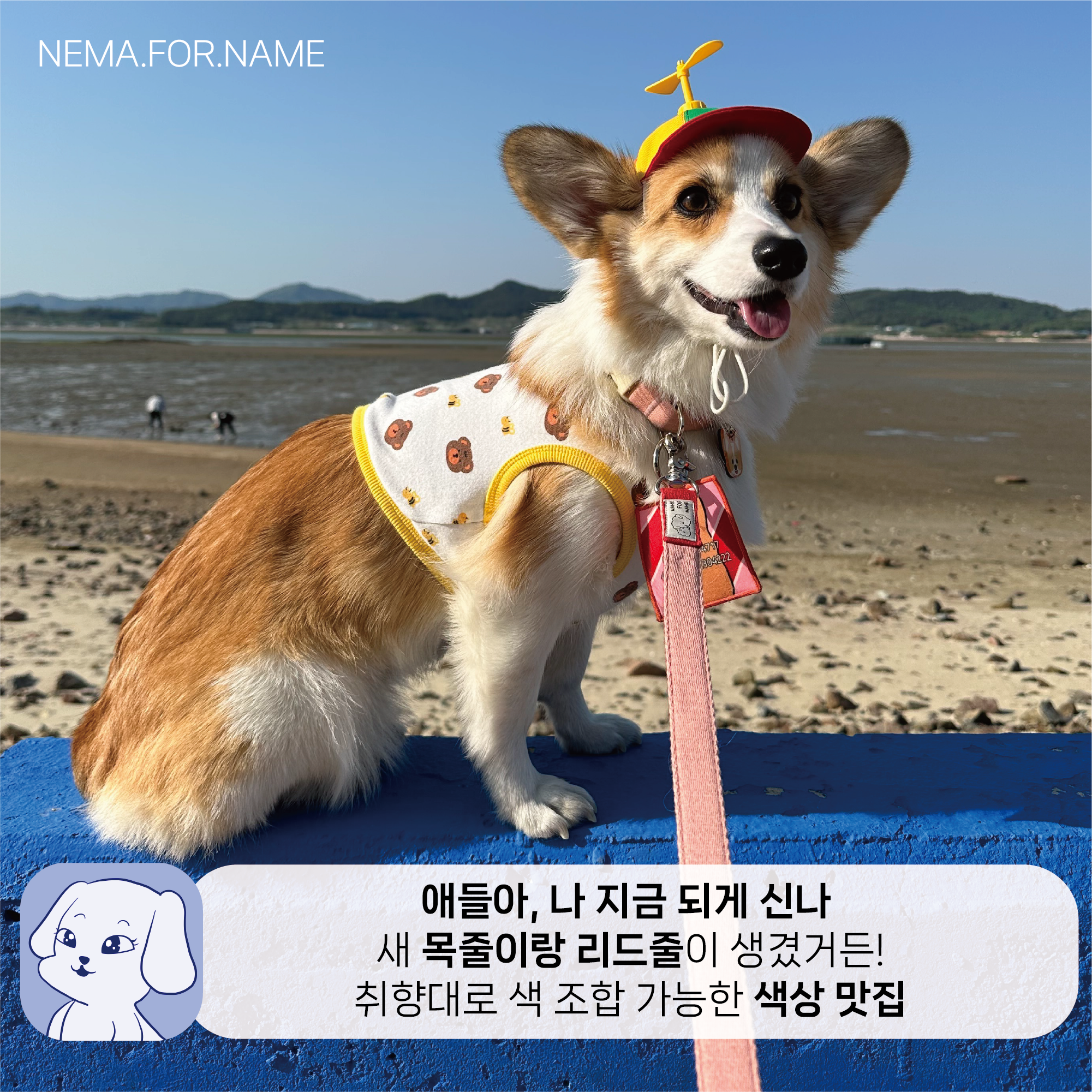첨부 이미지