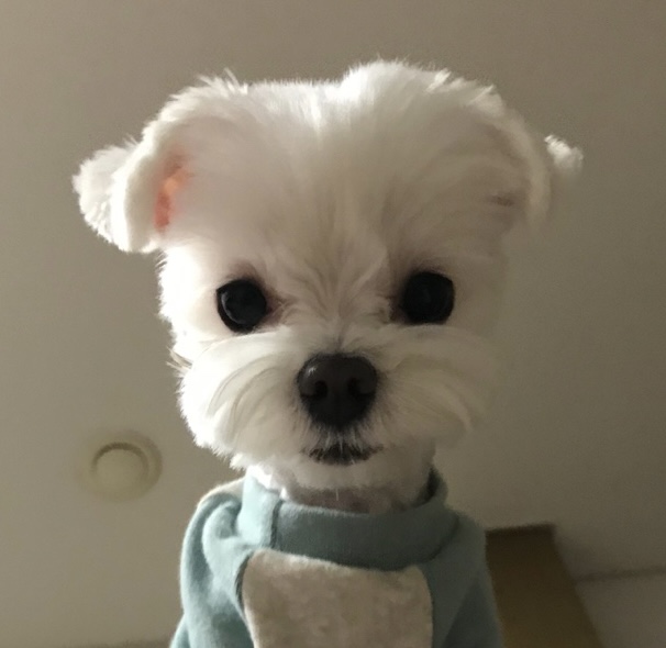 김몽이1109 프로필 이미지