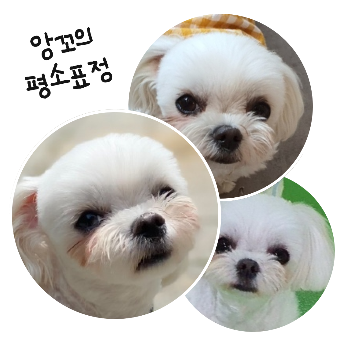 첨부 이미지