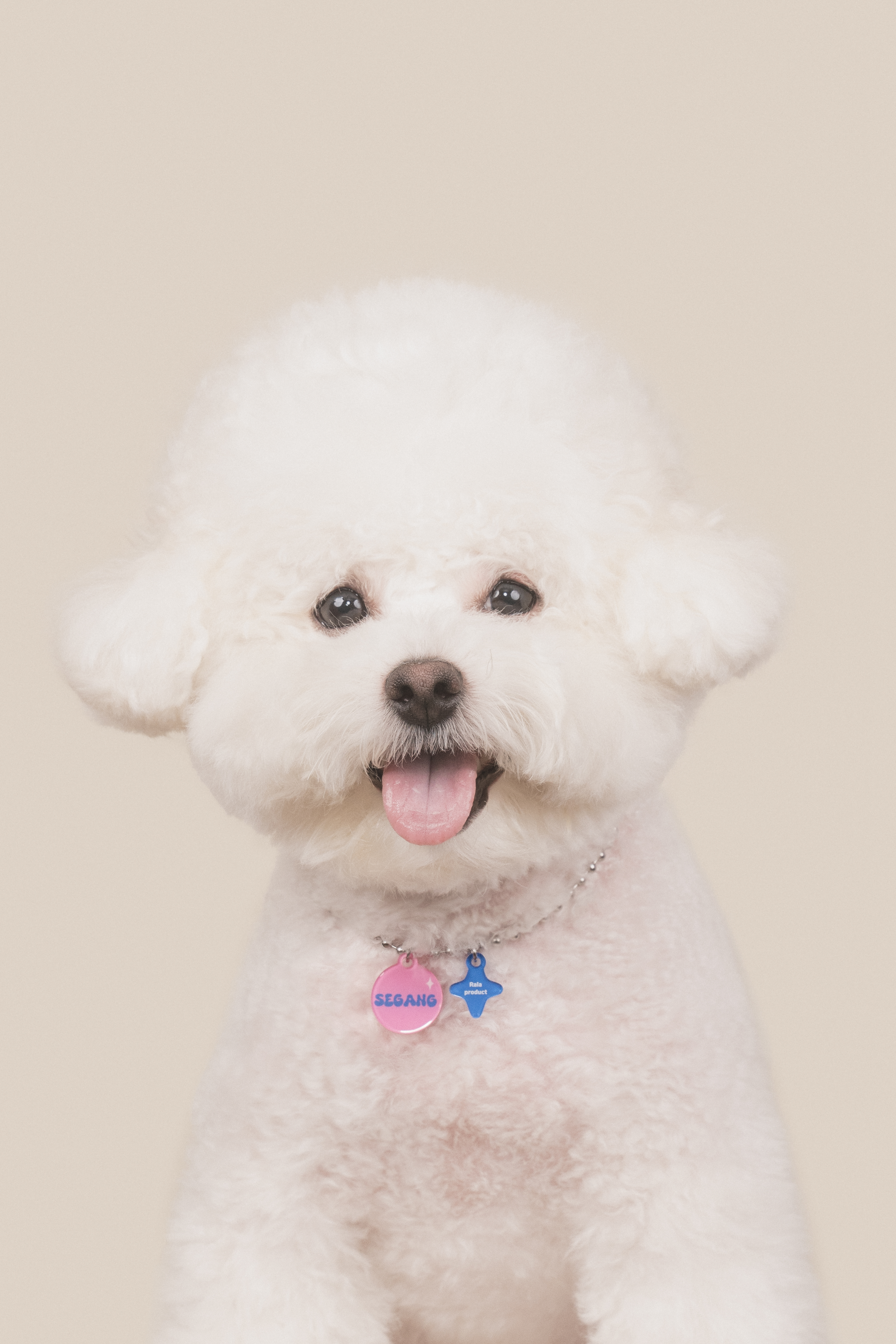 ㅅㄱㅁ 프로필 이미지