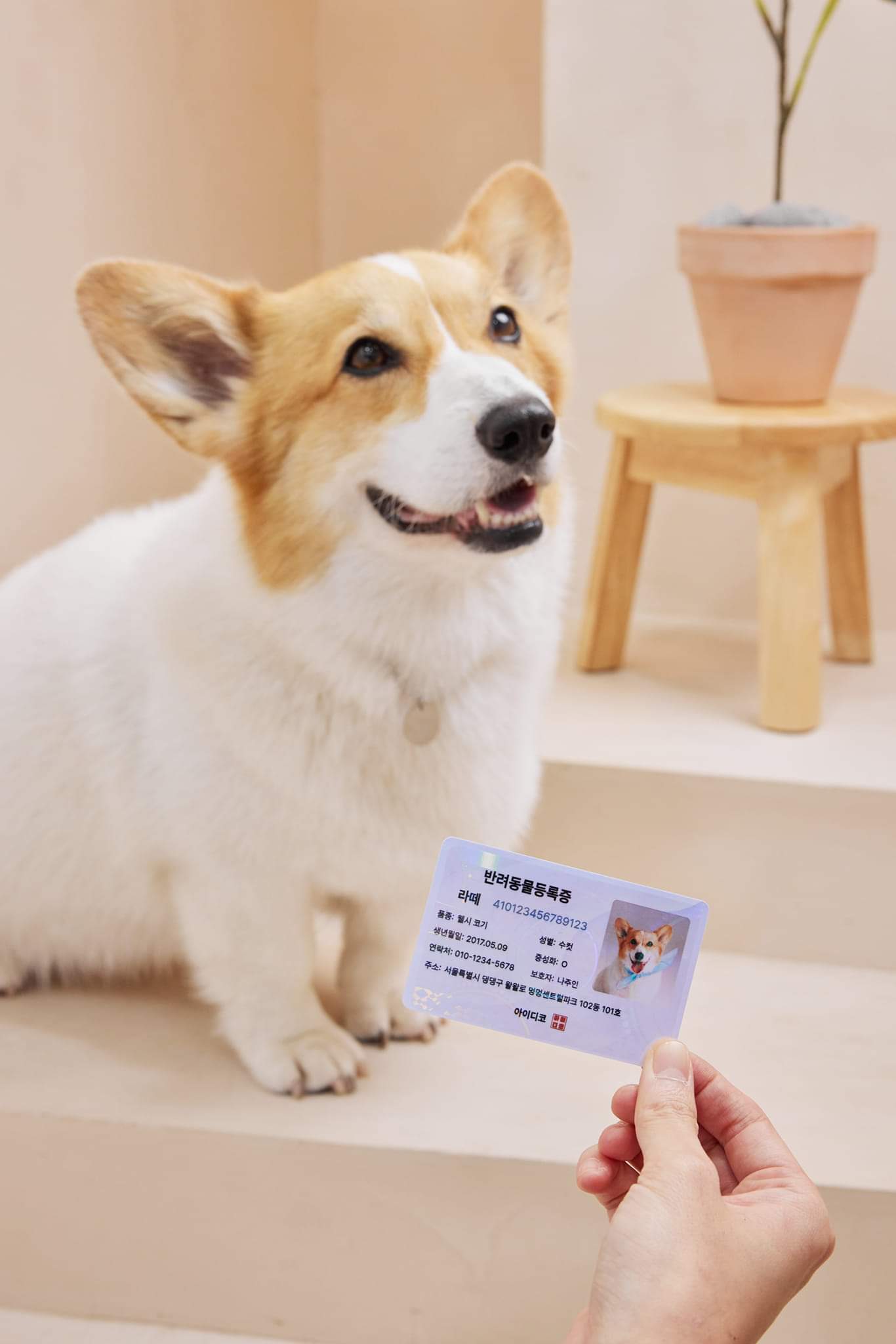 첨부 이미지