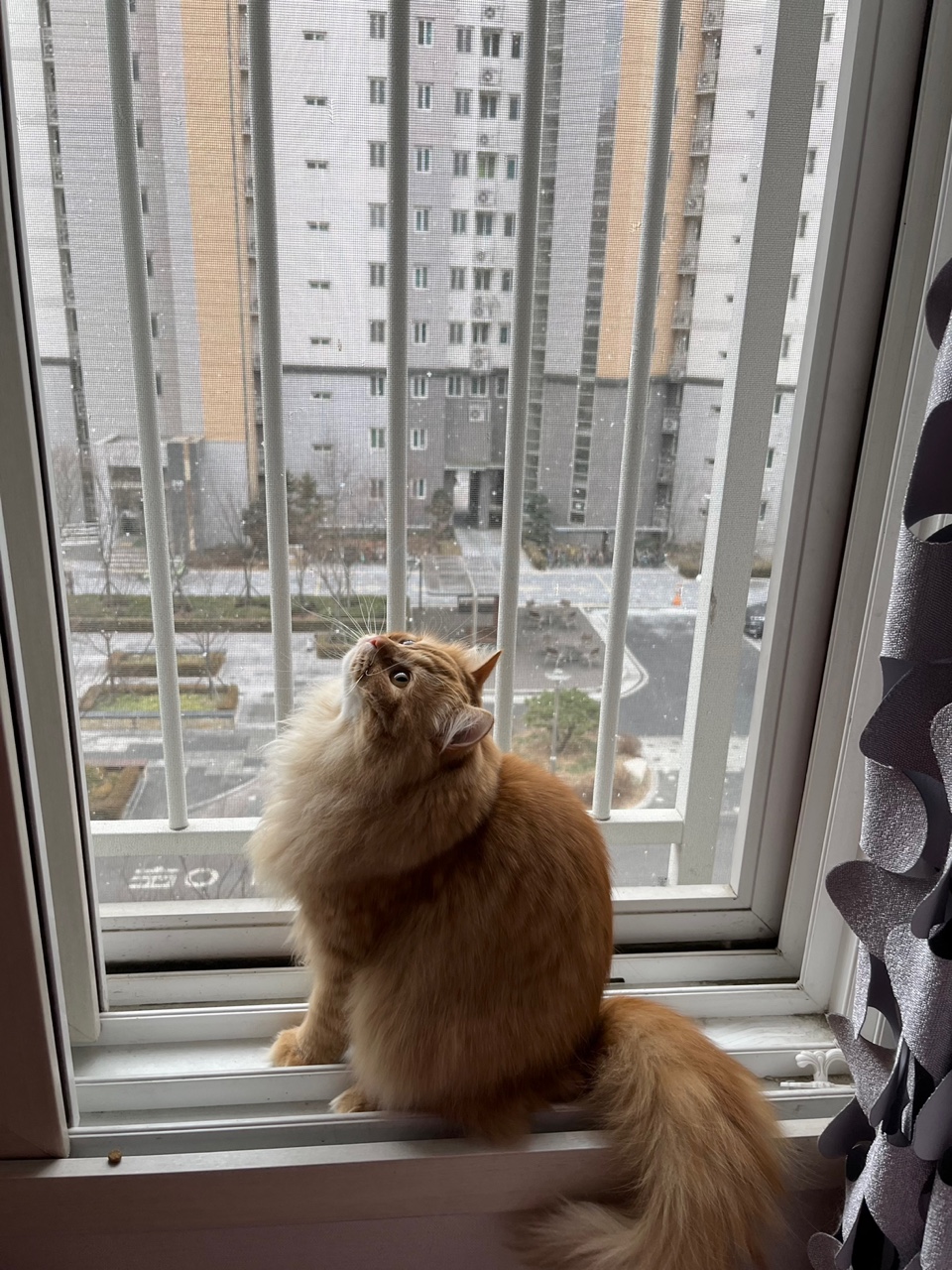 애용 프로필 이미지