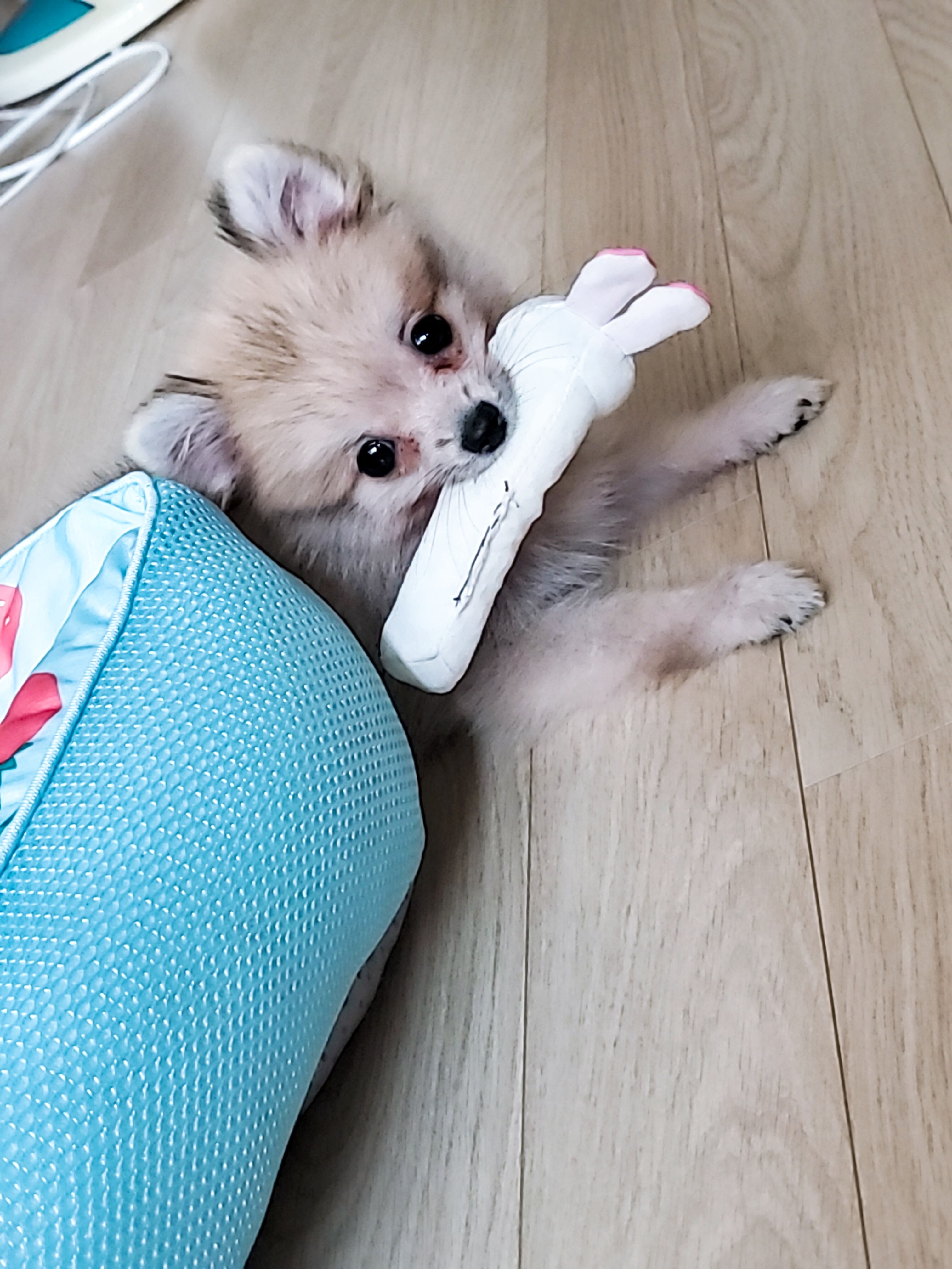결명자 프로필 이미지