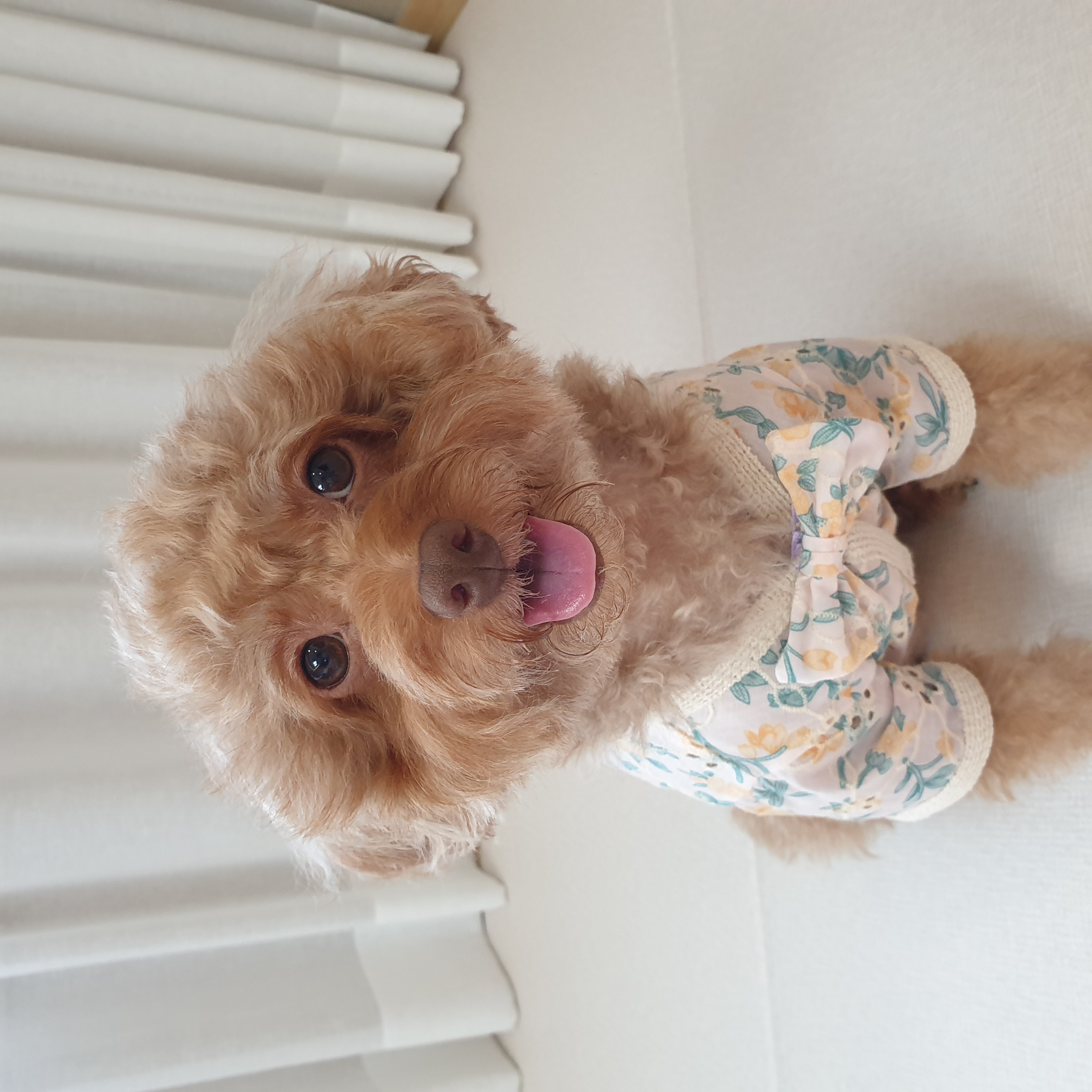 뿌 프로필 이미지