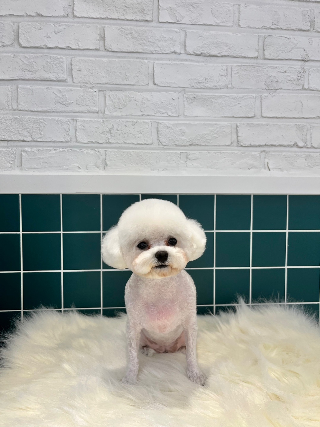 안녕하셍 프로필 이미지
