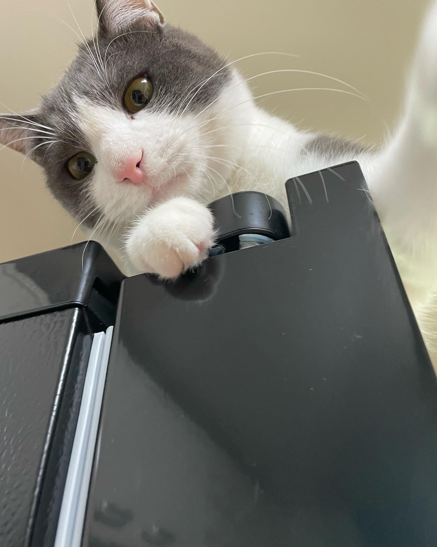 레오 프로필 이미지
