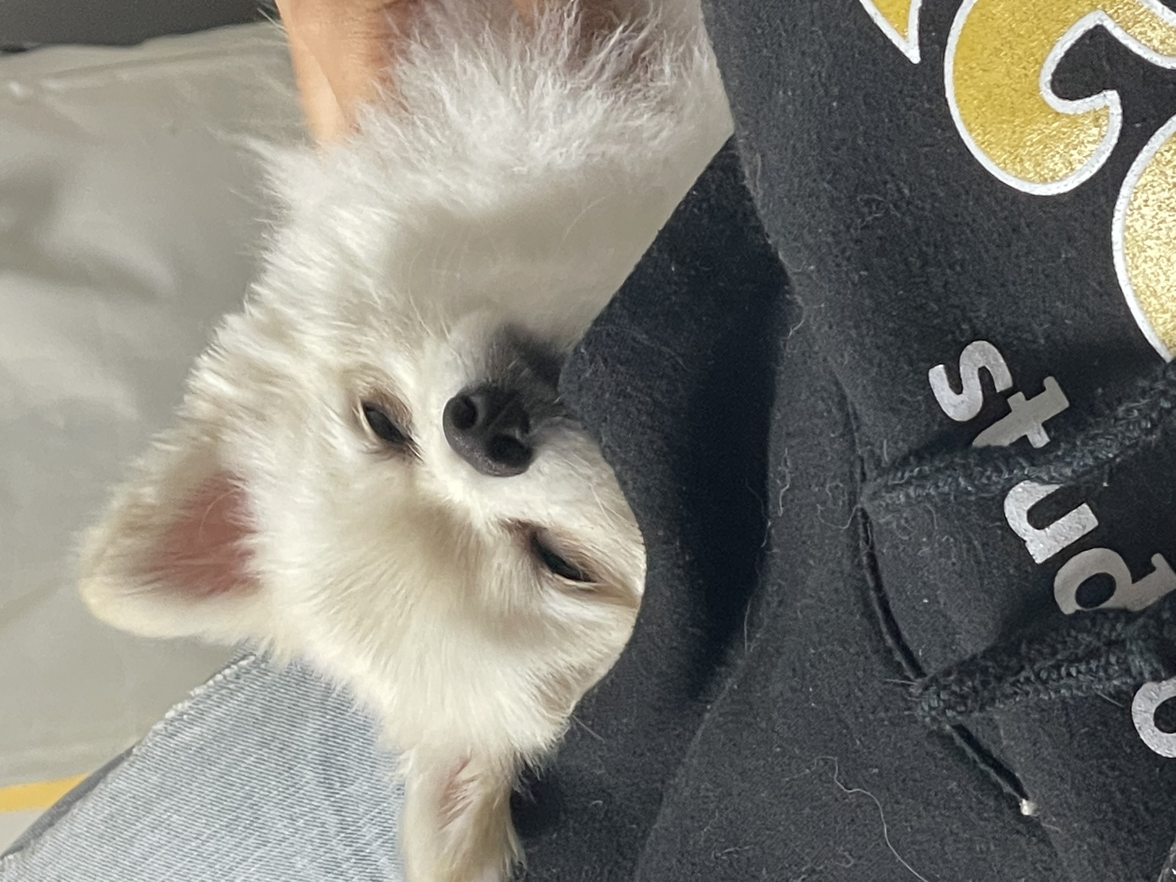 뚜뭉 프로필 이미지