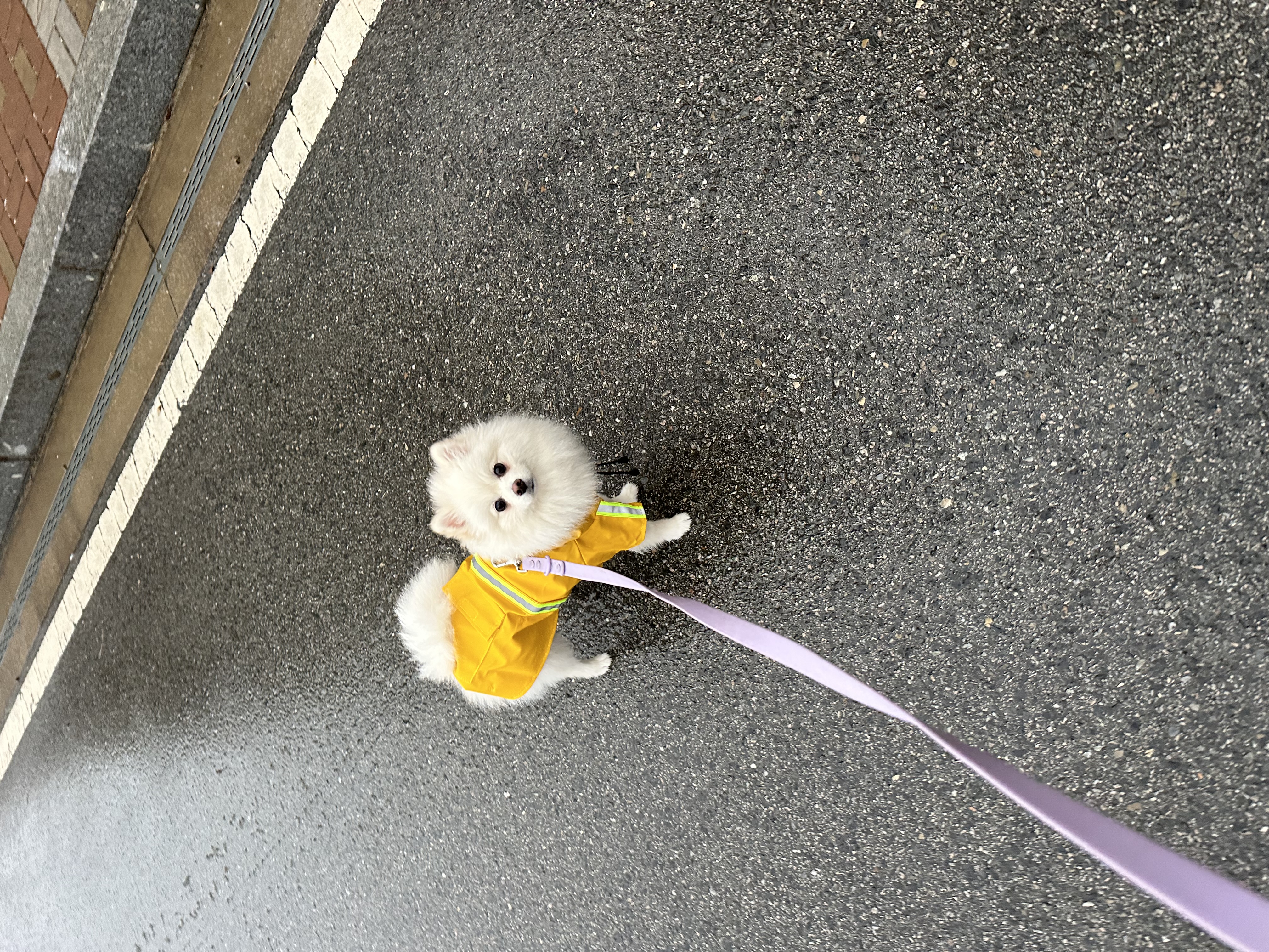 망꾸네 프로필 이미지