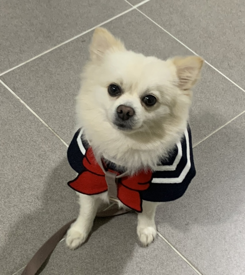 뚜영 프로필 이미지