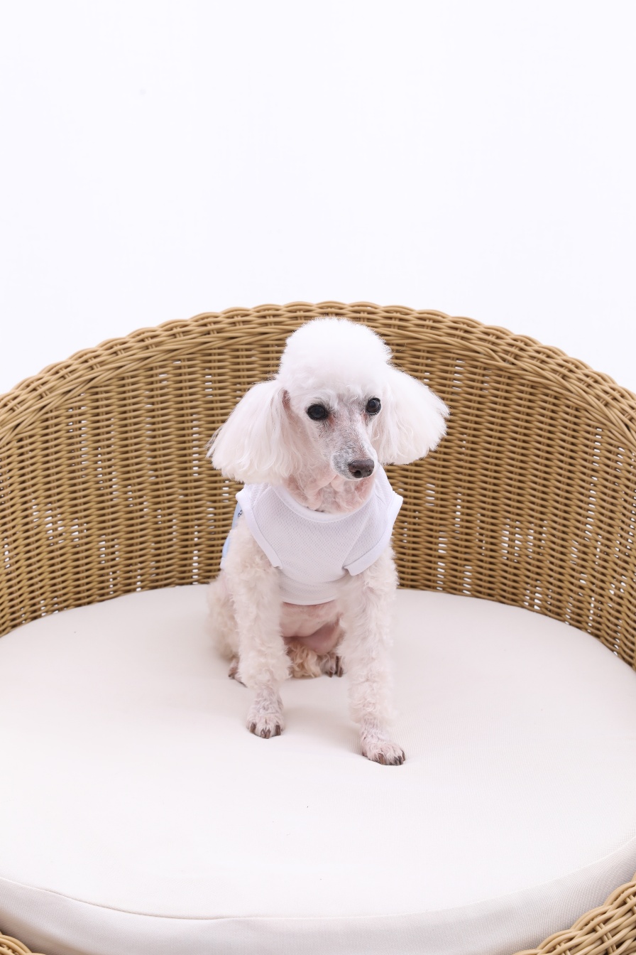 꿈비엠 프로필 이미지