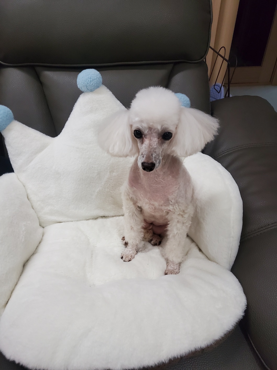 꿈비에 프로필 이미지