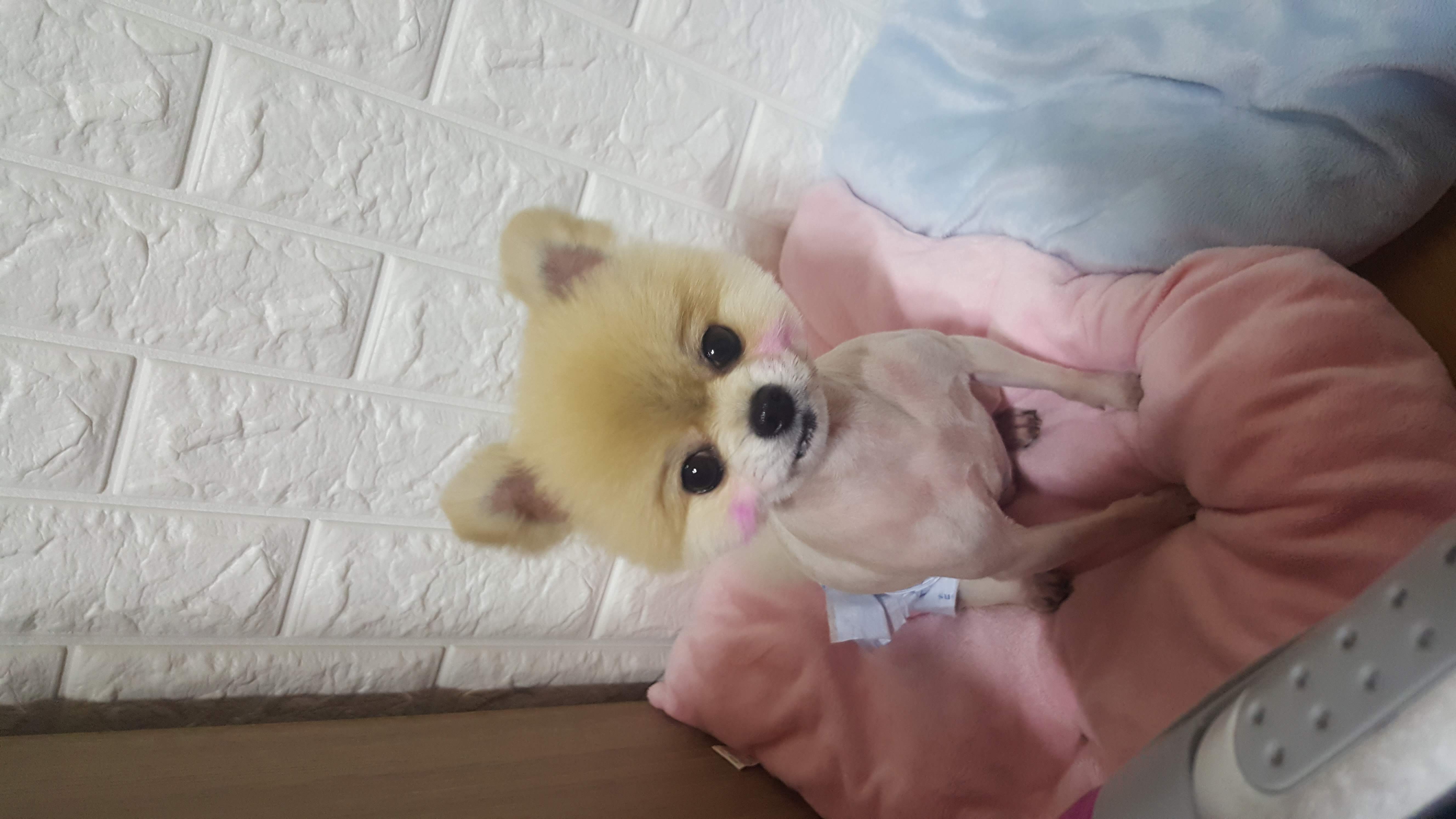 꿍꿍꿍 프로필 이미지