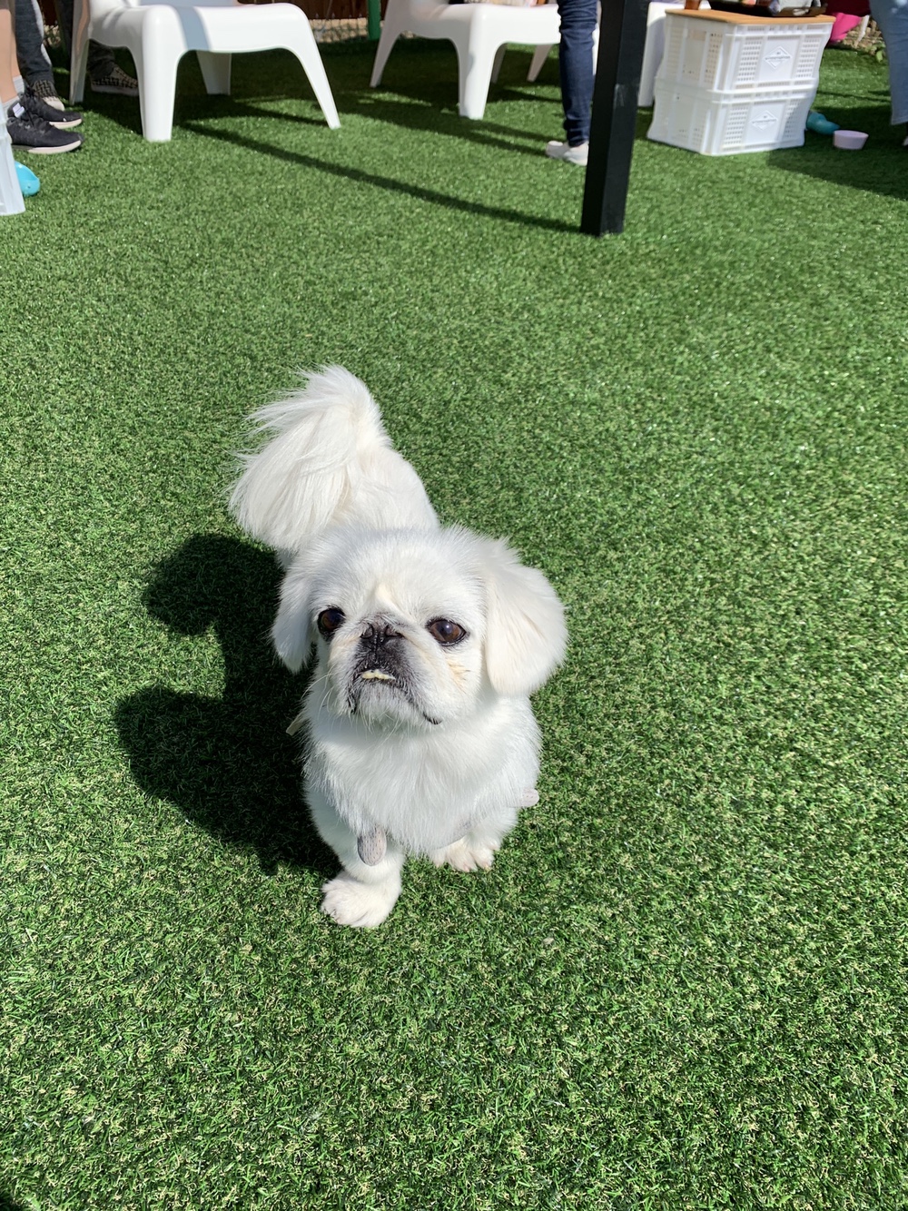 탈퇴한 회원 프로필 이미지