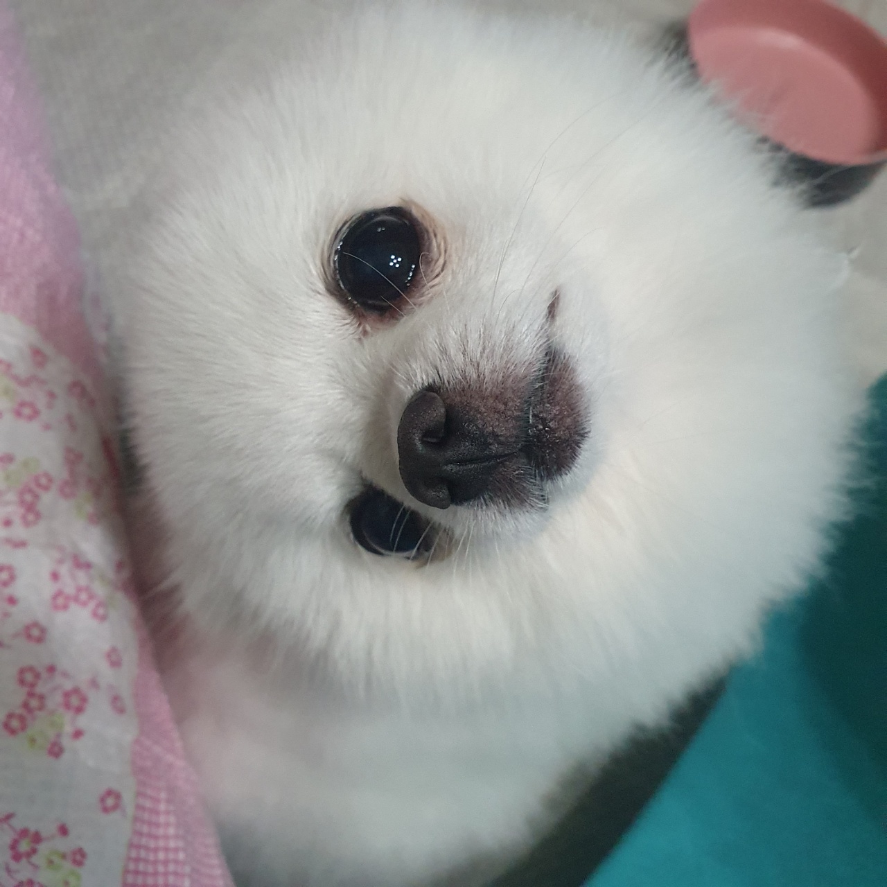 마포리2 프로필 이미지