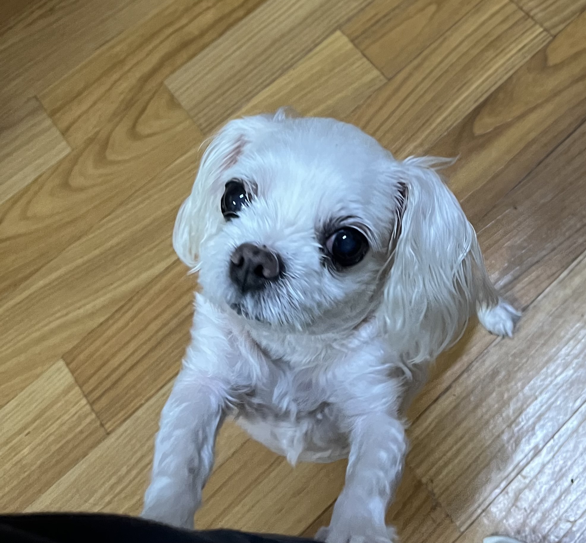 앵두언닝 프로필 이미지