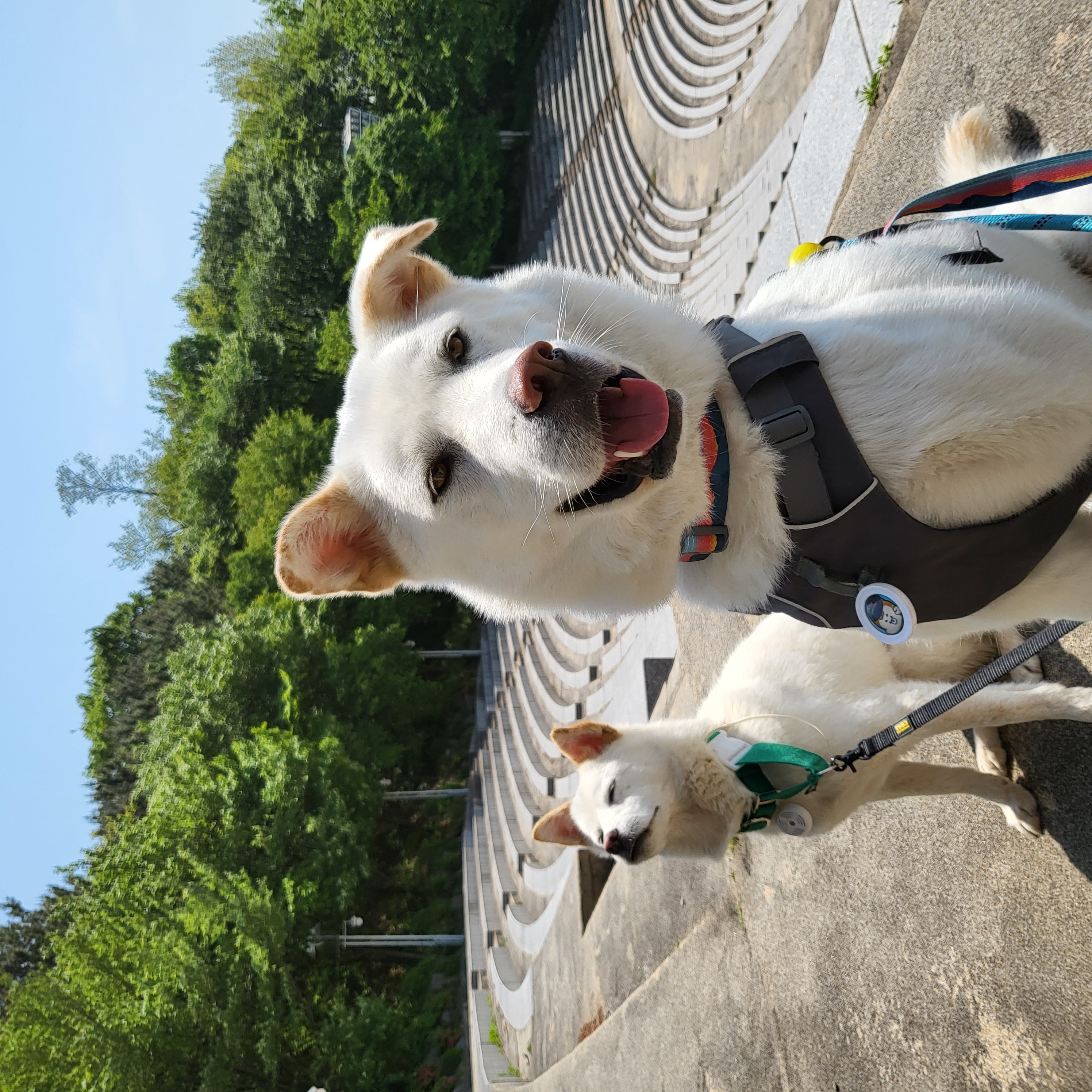 Leehwan 프로필 이미지