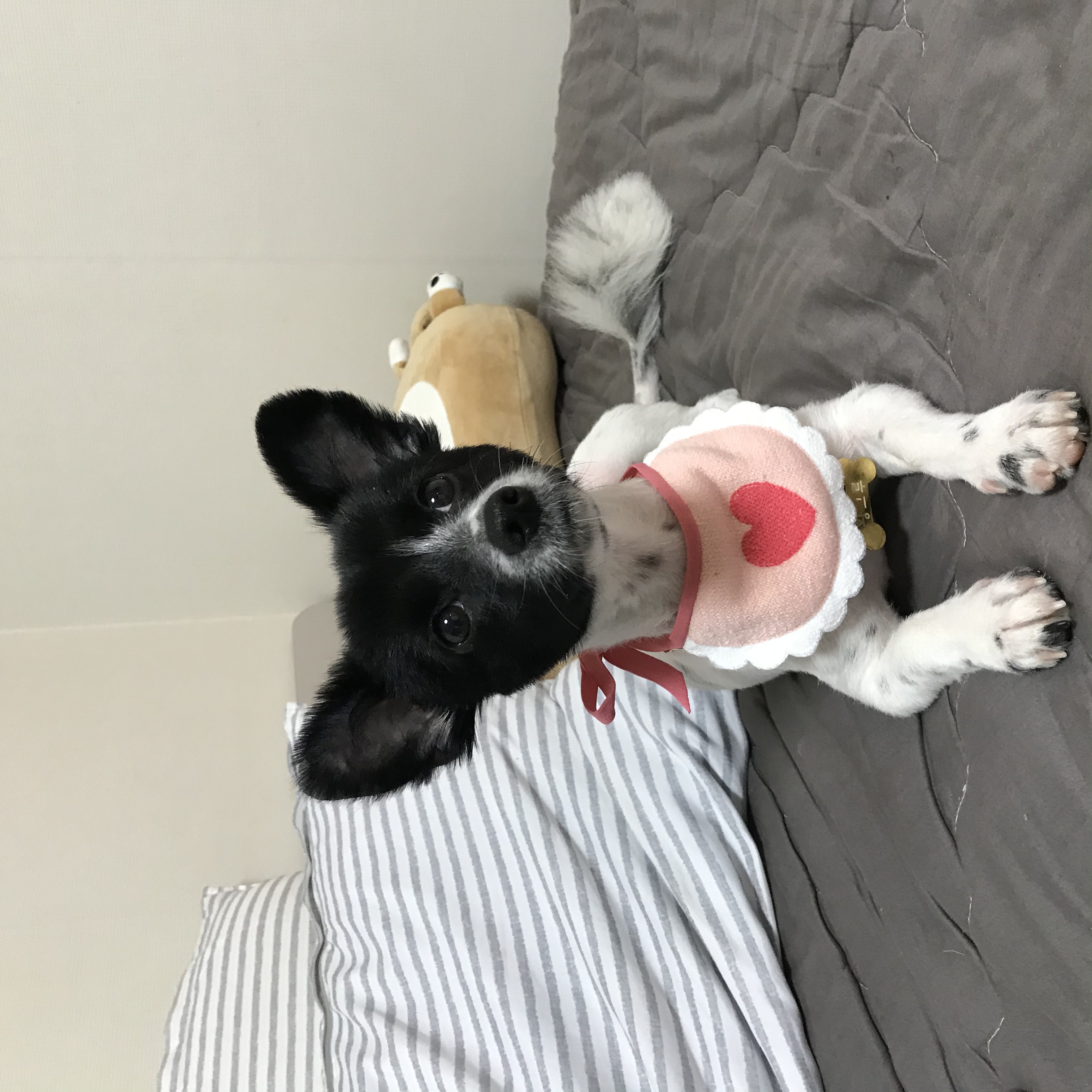황그루 프로필 이미지