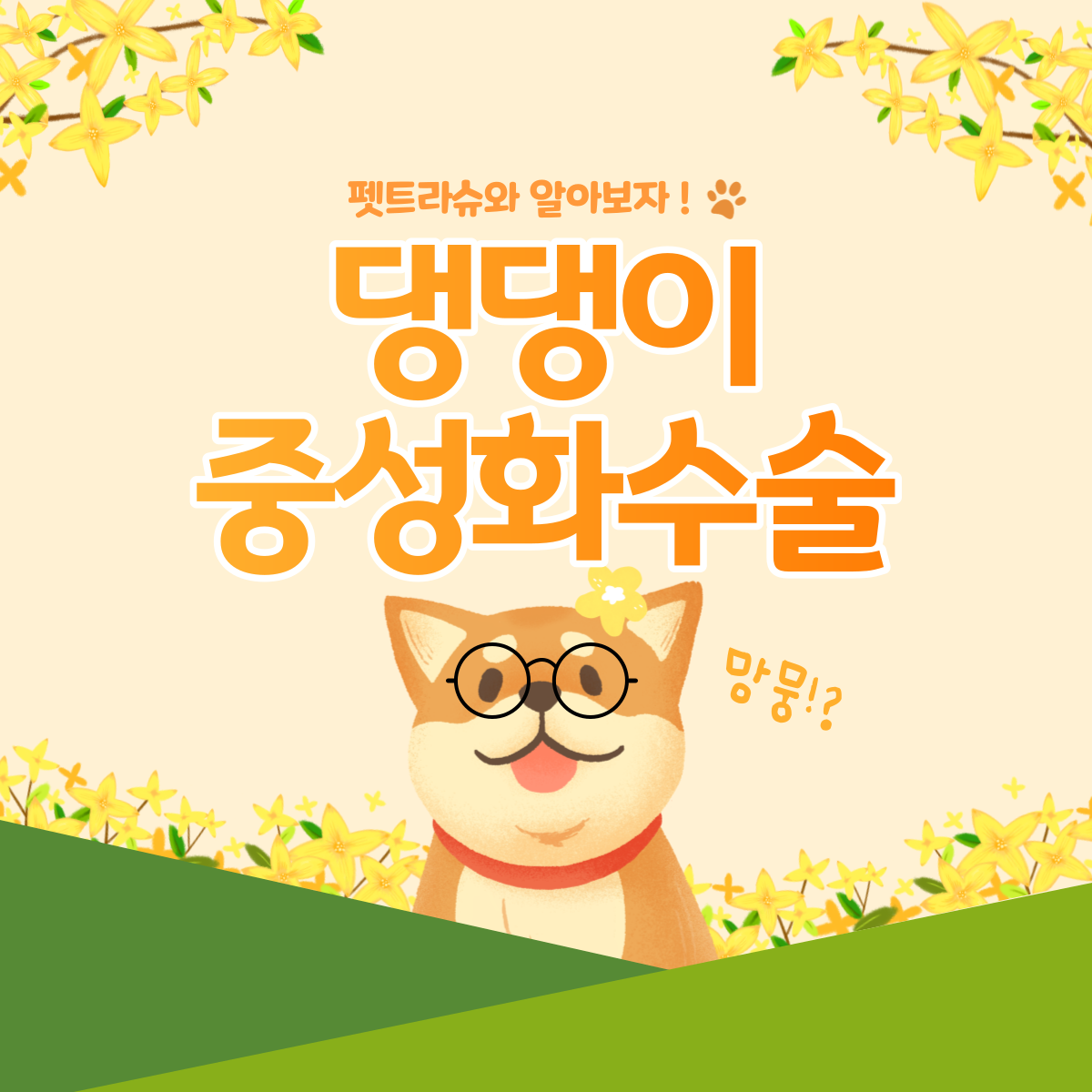 첨부 이미지