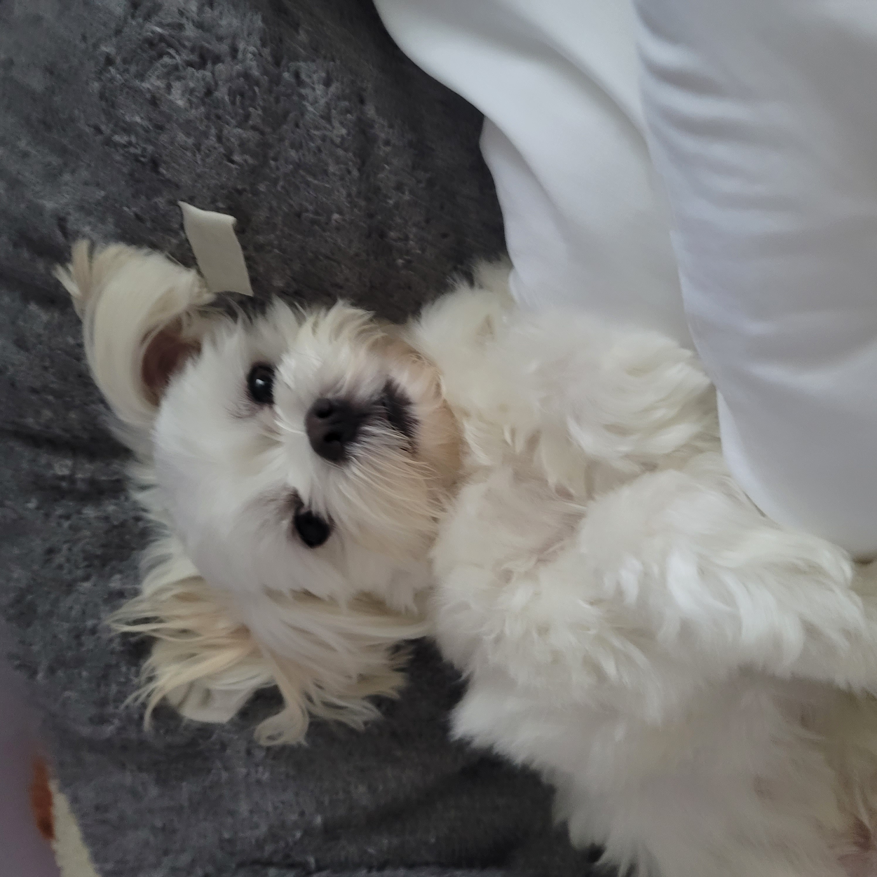 뜨레야 프로필 이미지
