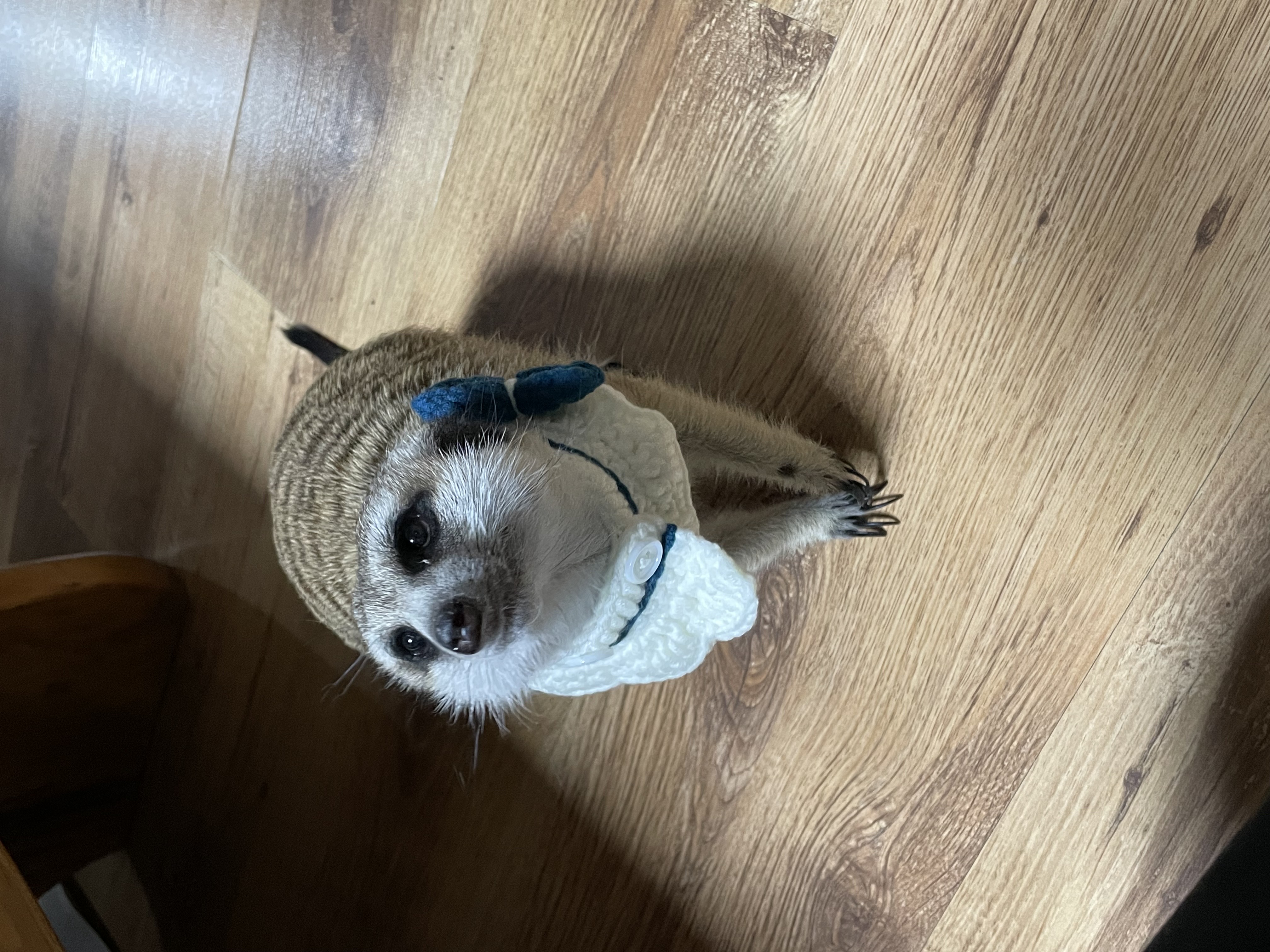 크롱어멈 프로필 이미지