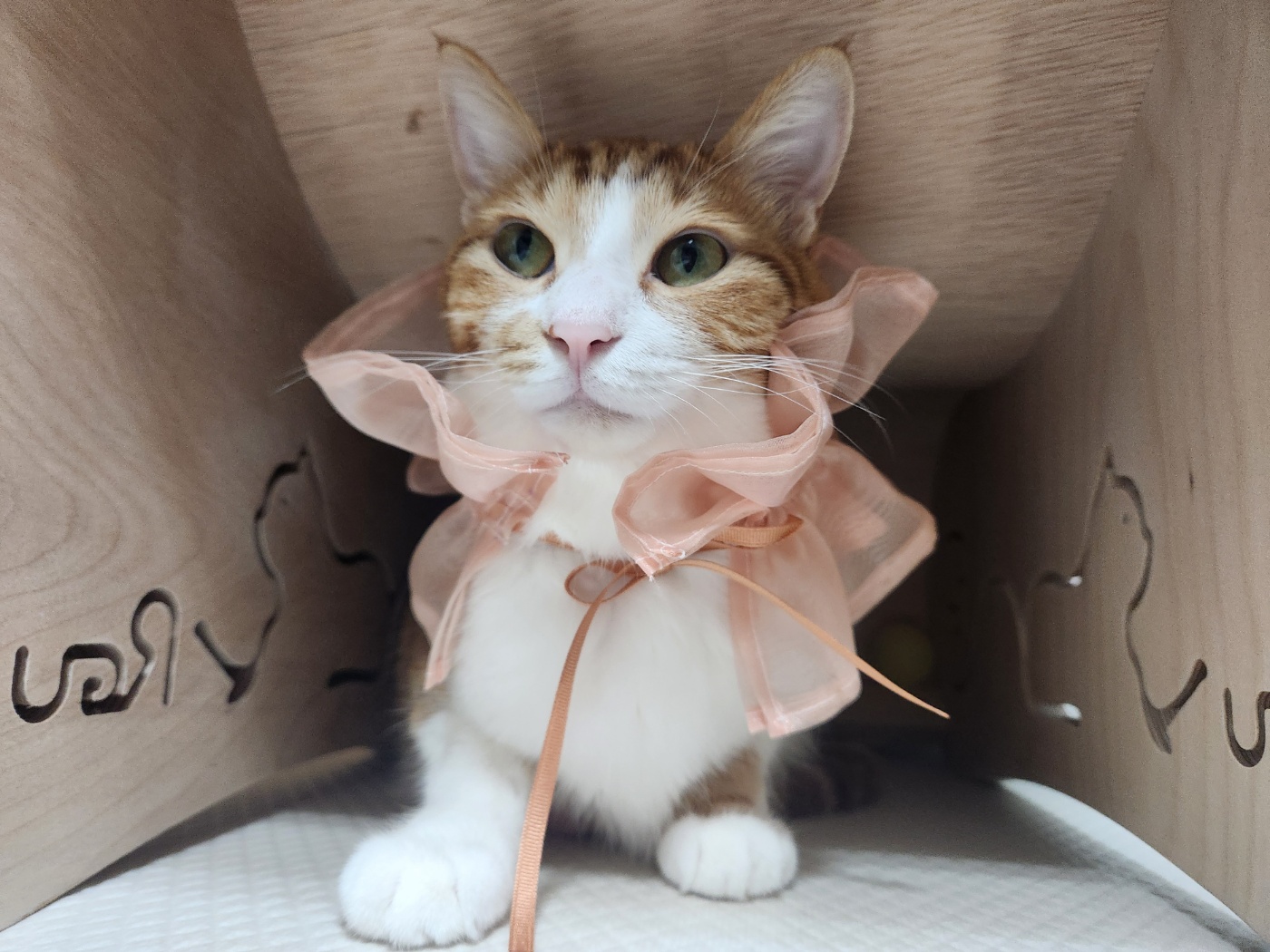 밥짱 프로필 이미지