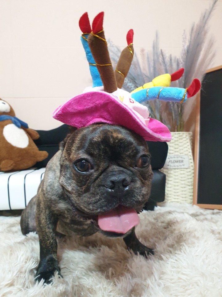 순돌맘 프로필 이미지