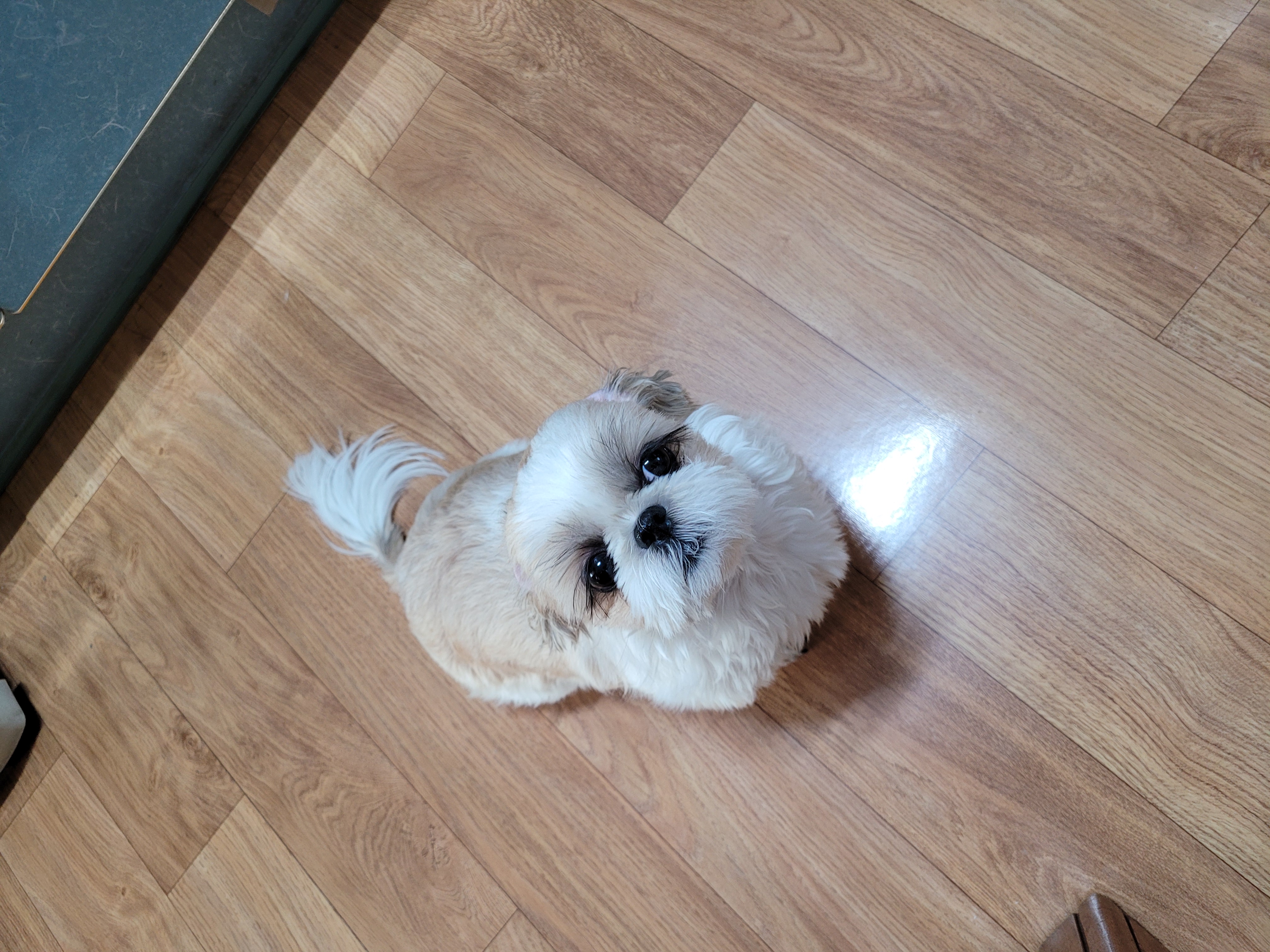 미밍 프로필 이미지