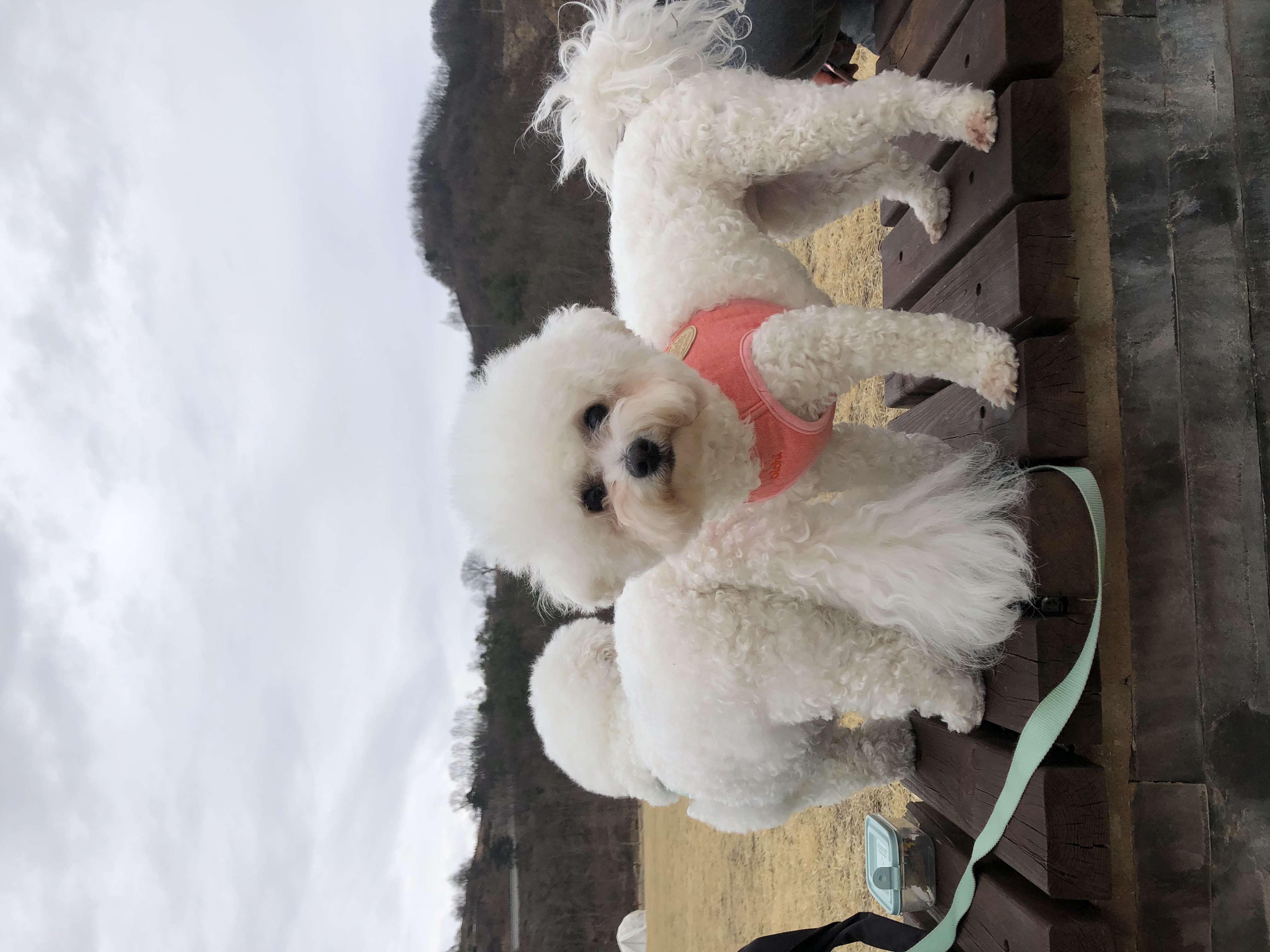 하루랑구름 프로필 이미지