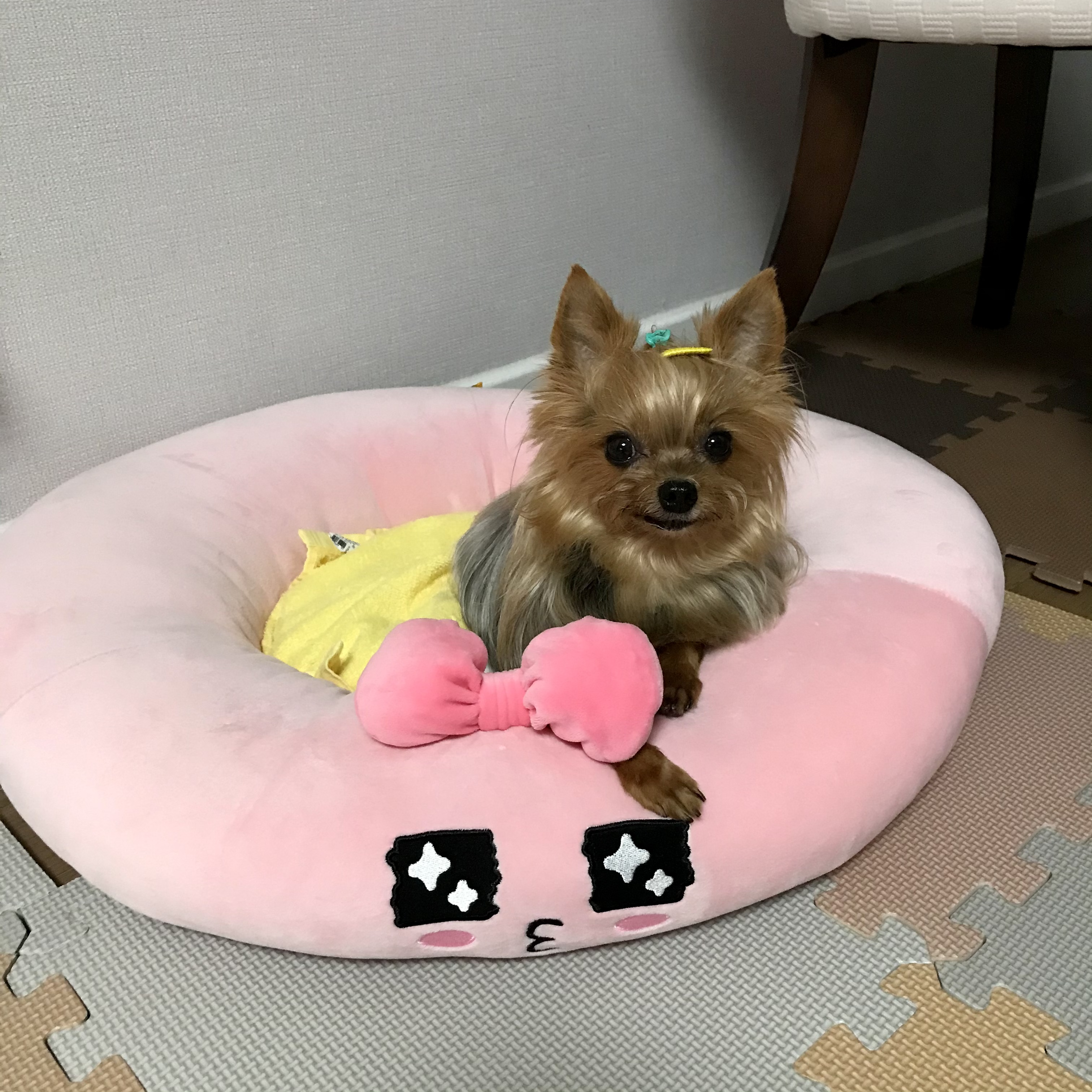 땅콩&콩지 프로필 이미지