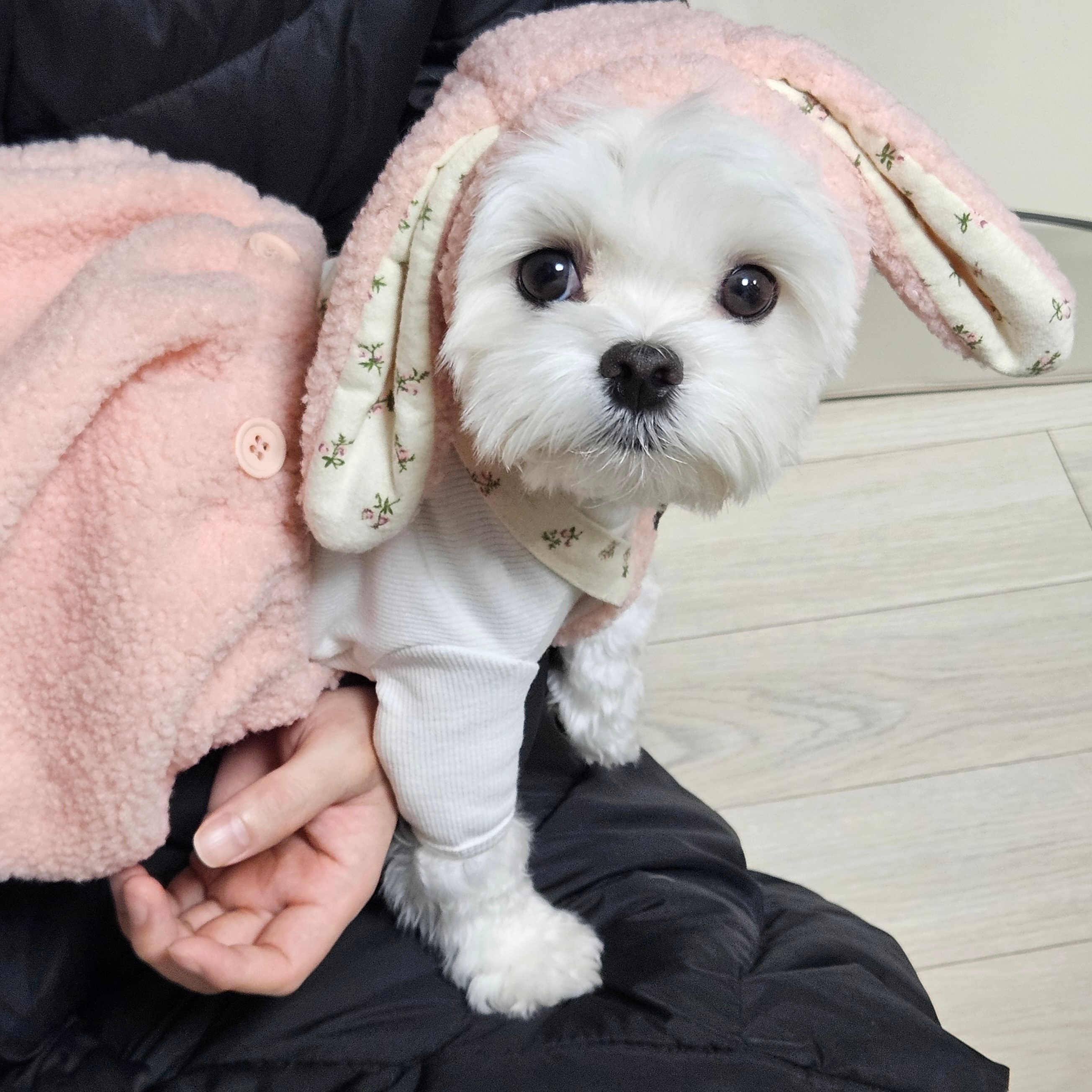 리치마미 프로필 이미지