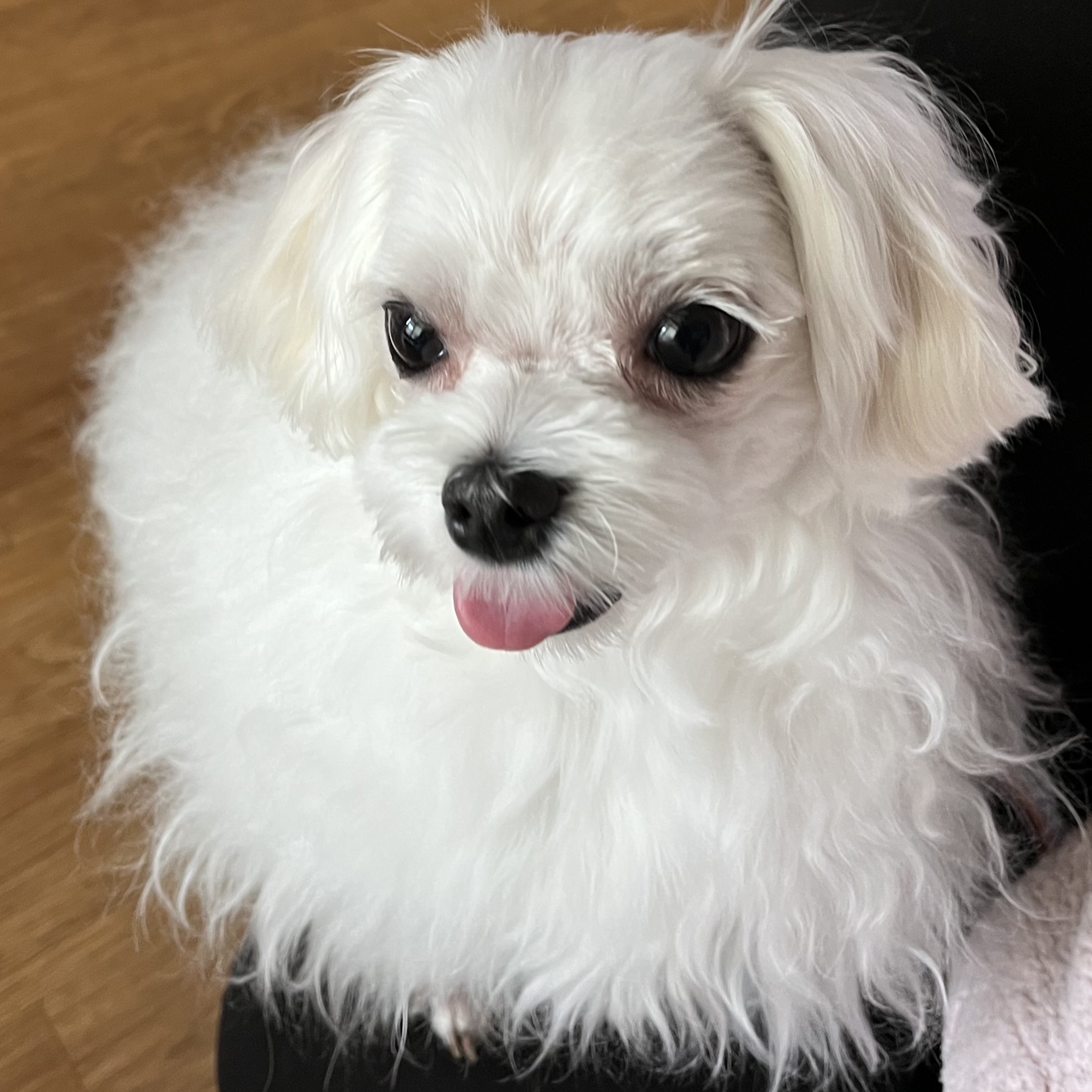 탈퇴한 회원 프로필 이미지