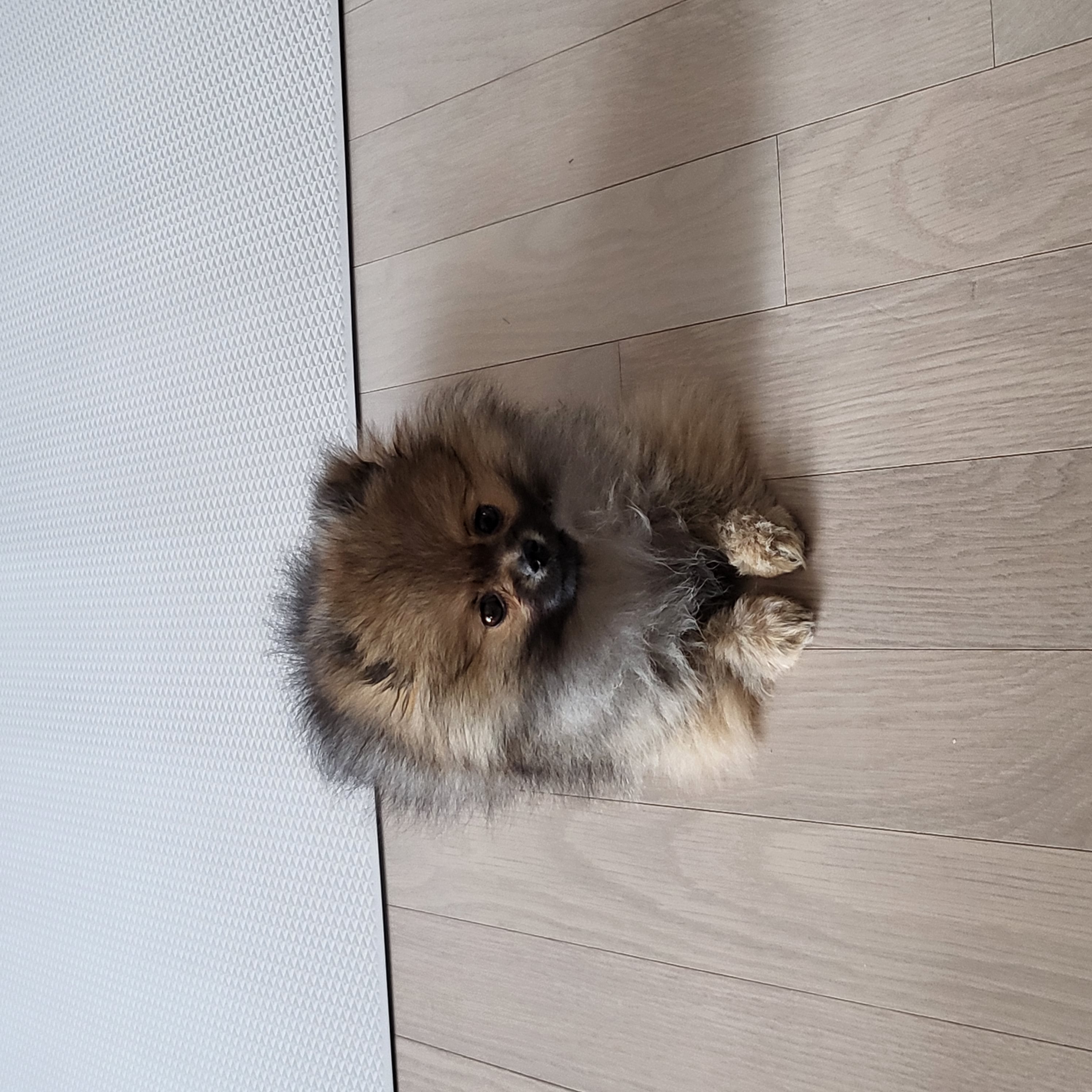 숟 프로필 이미지