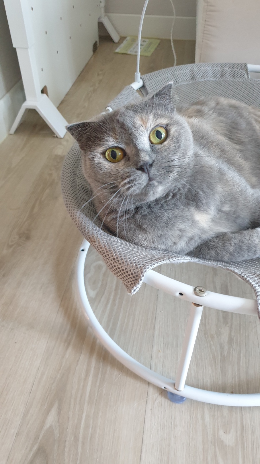 3둥이 프로필 이미지